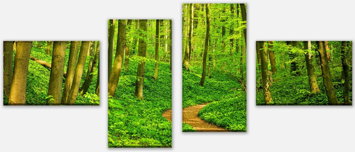 Leinwandbild Mehrteiler Waldpfad M0345 Leinwandbild Mehrteiler Waldpfad M0345