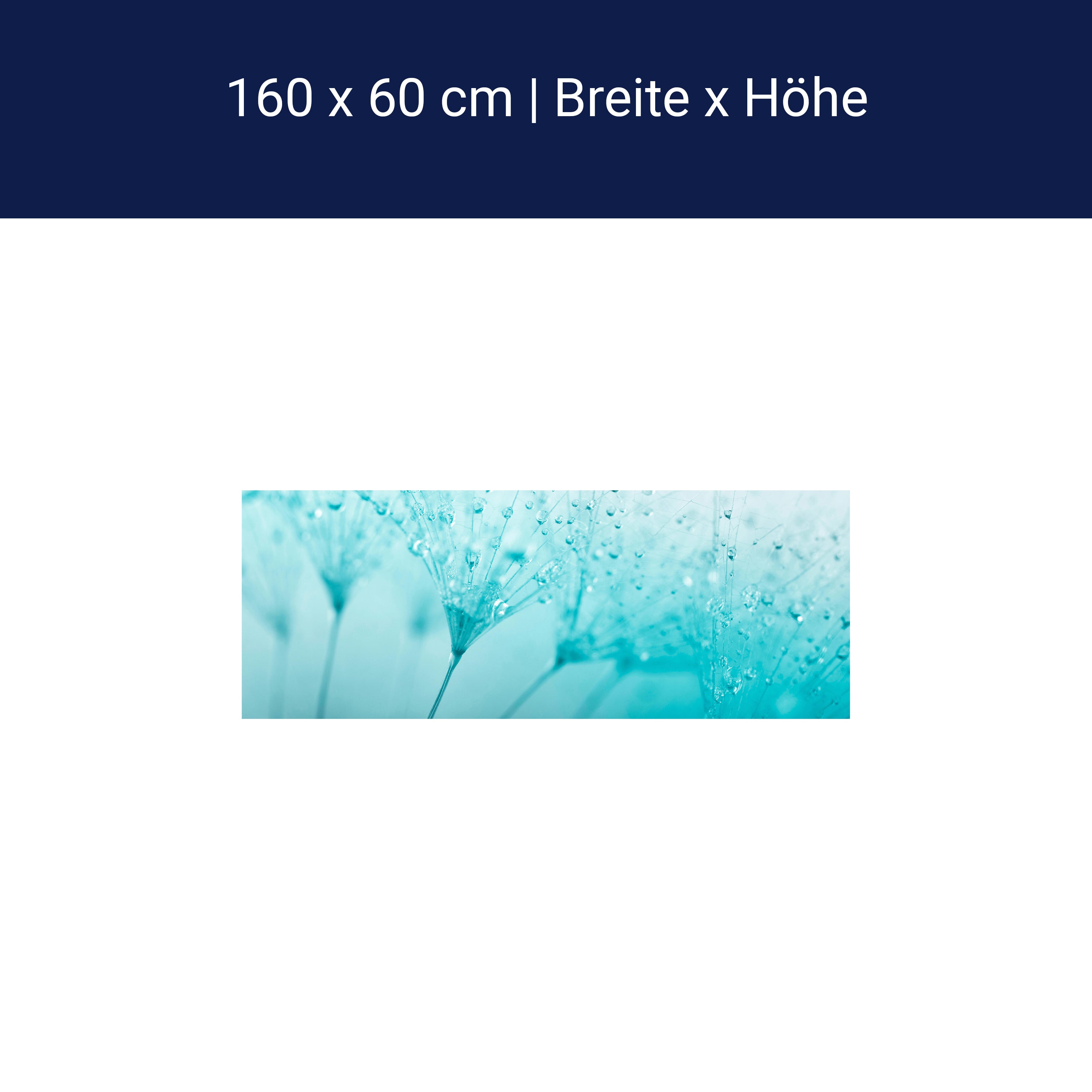 Küchenrückwand Pusteblume Türkis M0347 Küchenrückwand Pusteblume Türkis M0347