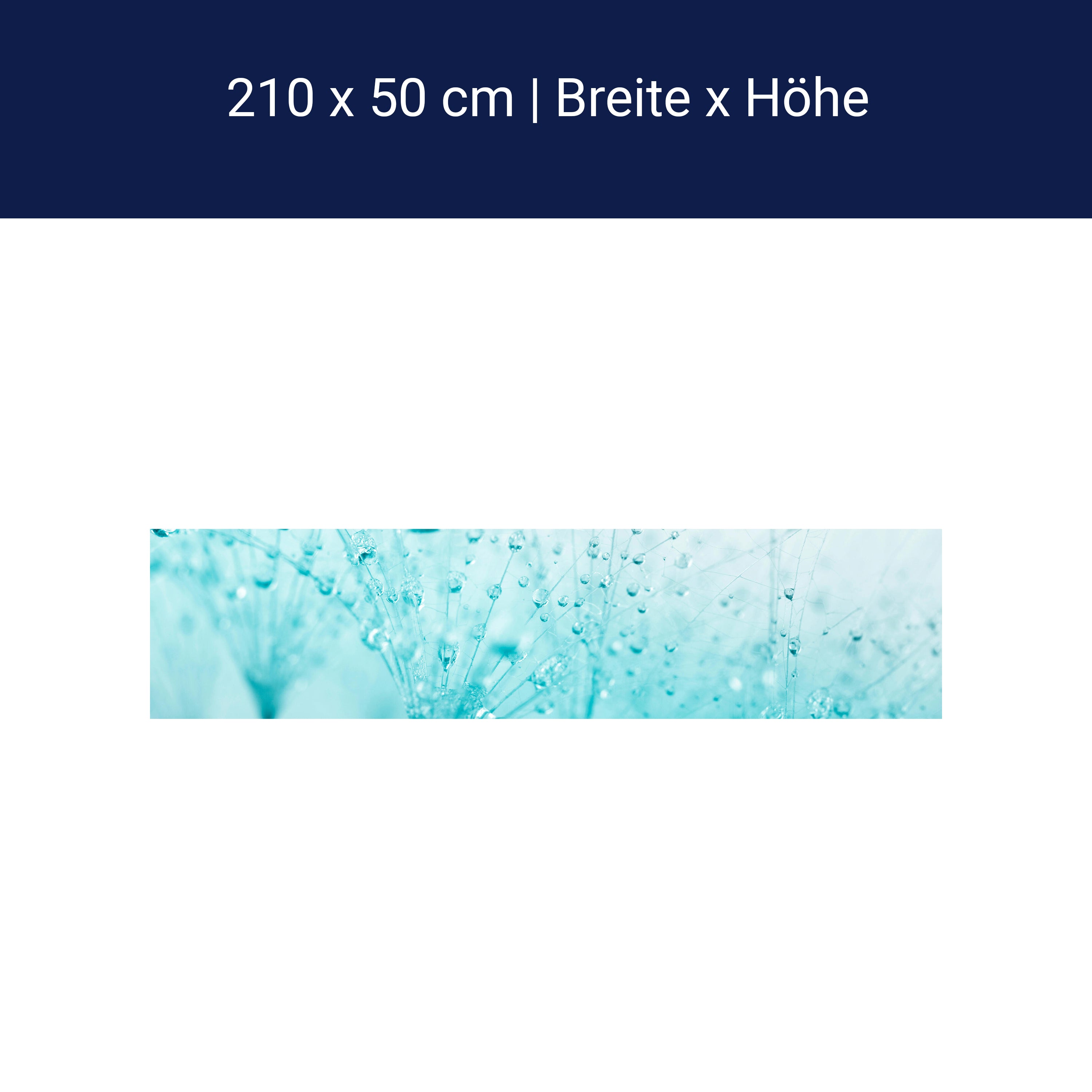 Küchenrückwand Pusteblume Türkis M0347 Küchenrückwand Pusteblume Türkis M0347