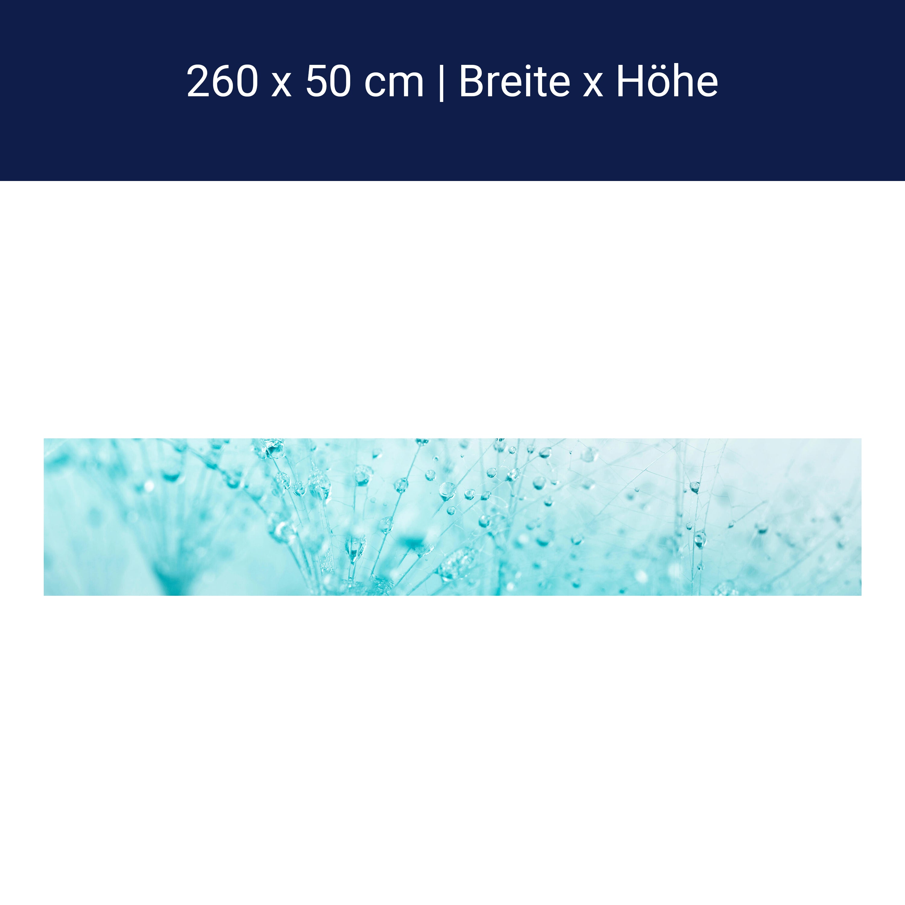 Küchenrückwand Pusteblume Türkis M0347 Küchenrückwand Pusteblume Türkis M0347