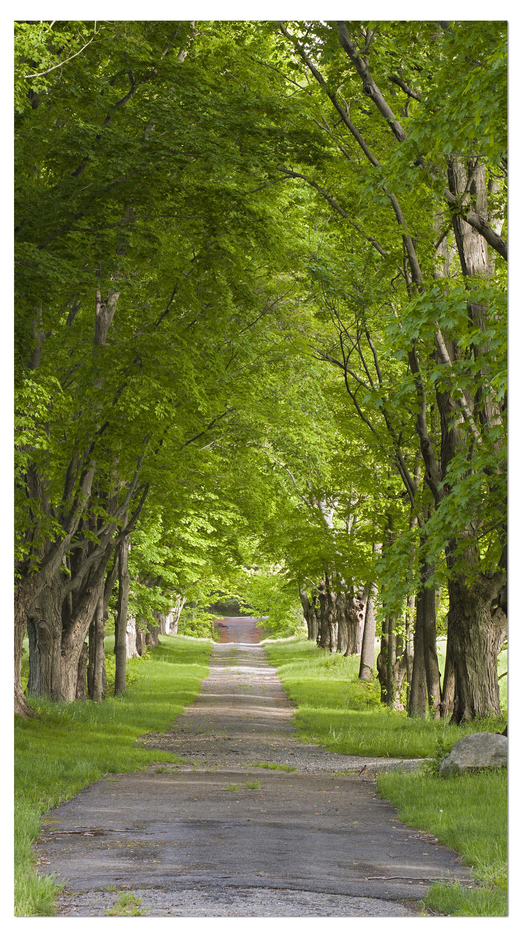 Garderobe Sommerallee M0357 entdecken - Bild 4 Garderobe Sommerallee M0357 entdecken - Bild 4