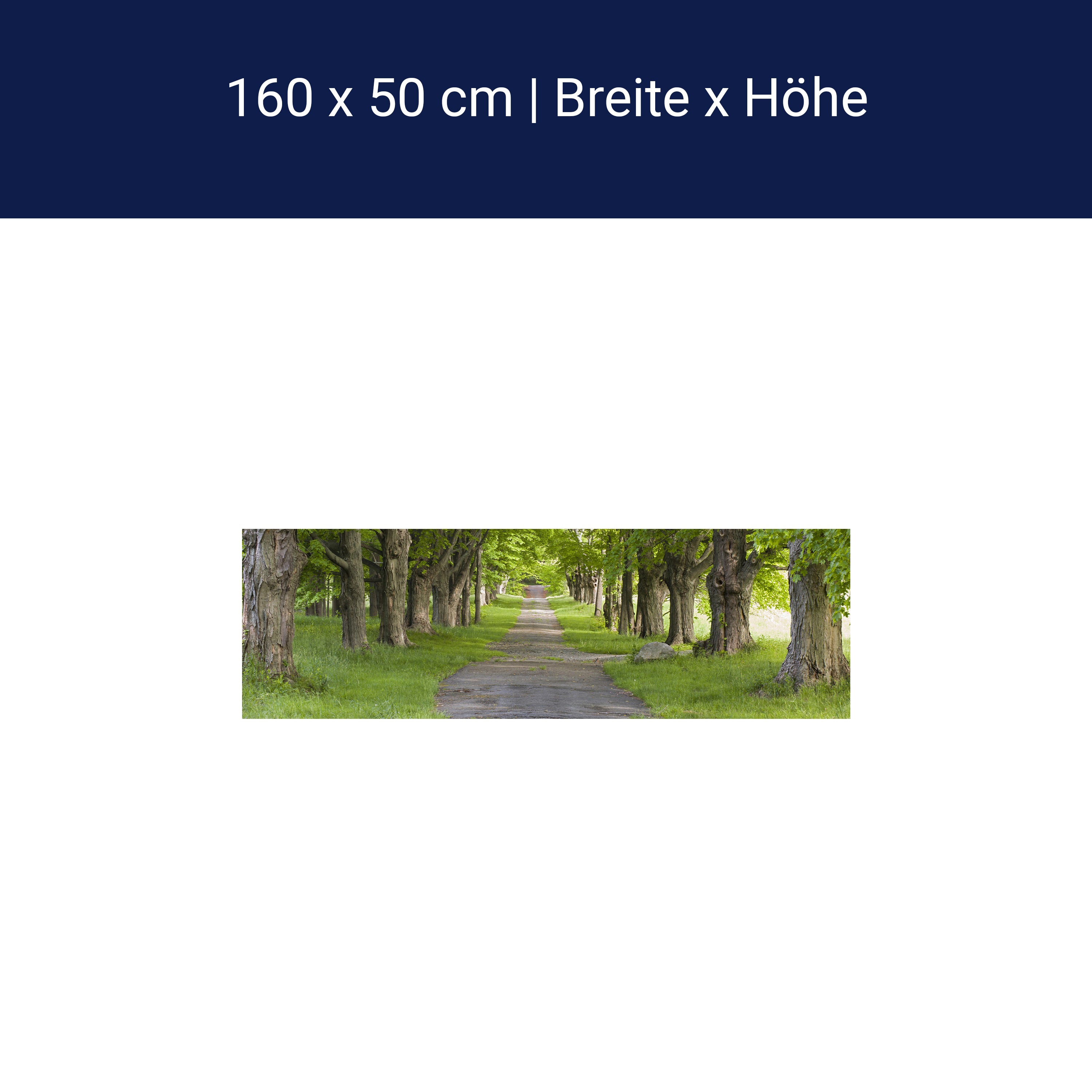 Küchenrückwand Sommerallee M0357 Küchenrückwand Sommerallee M0357