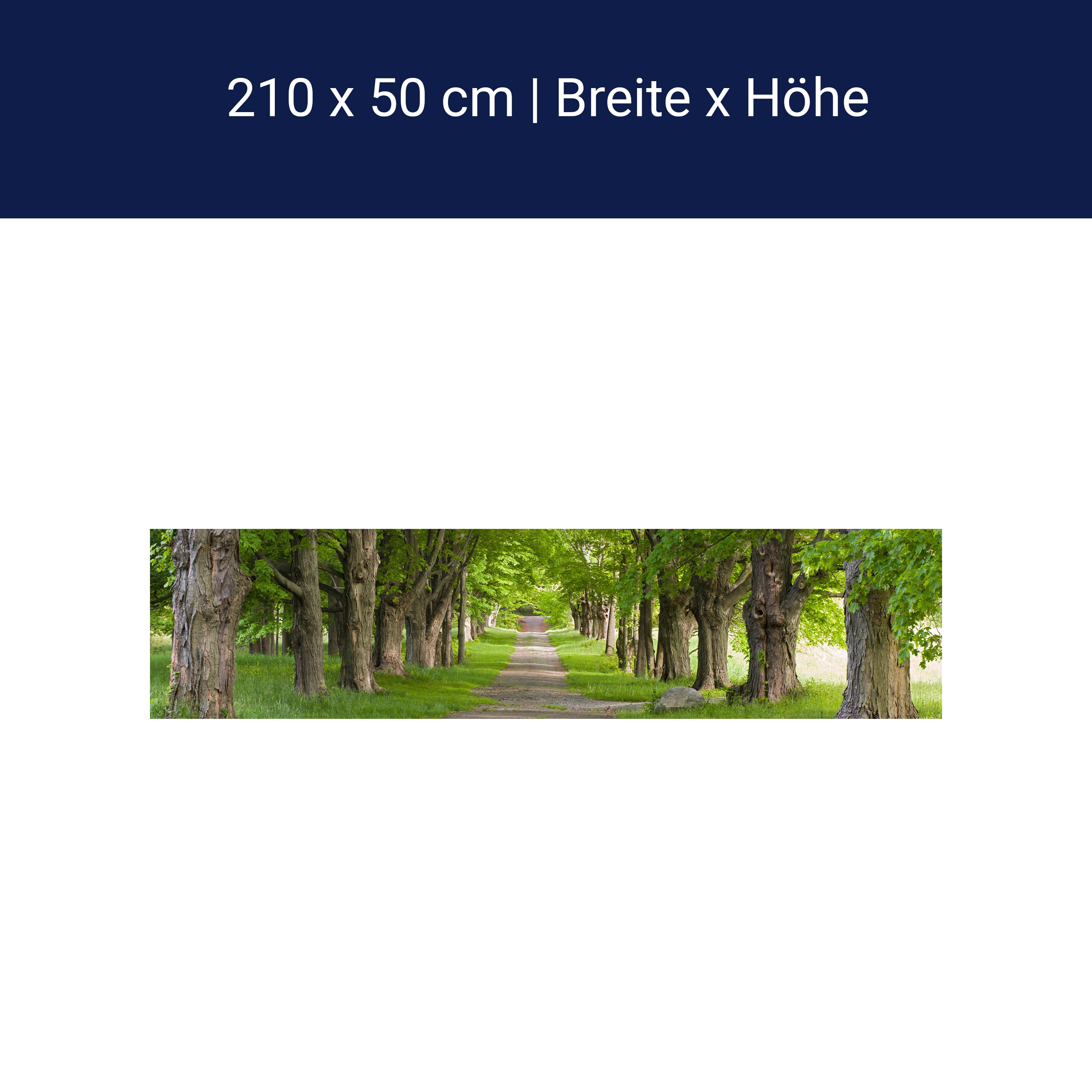 Küchenrückwand Sommerallee M0357 Küchenrückwand Sommerallee M0357