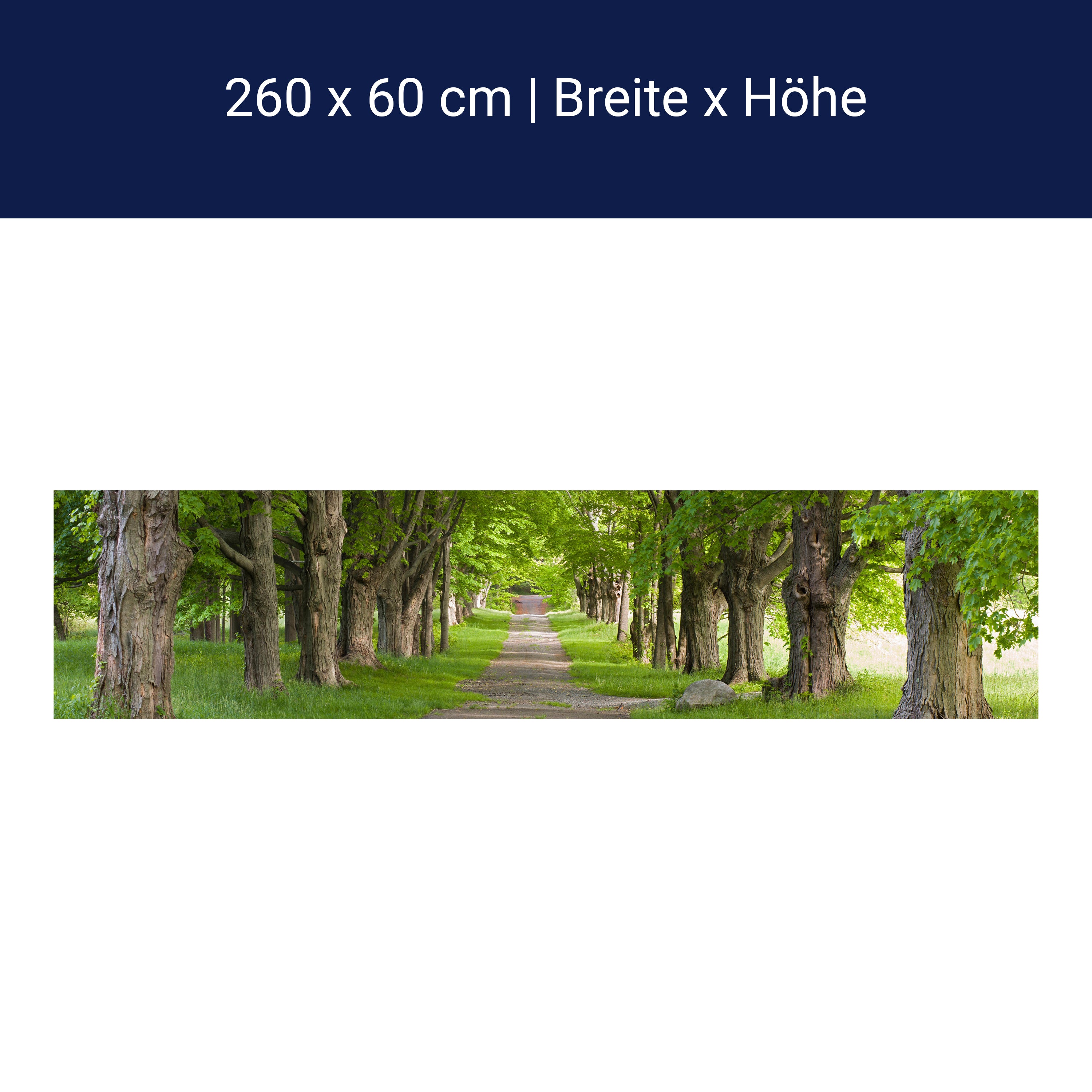 Küchenrückwand Sommerallee M0357 Küchenrückwand Sommerallee M0357