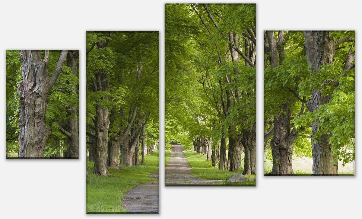 Leinwandbild Mehrteiler Sommerallee M0357 Leinwandbild Mehrteiler Sommerallee M0357