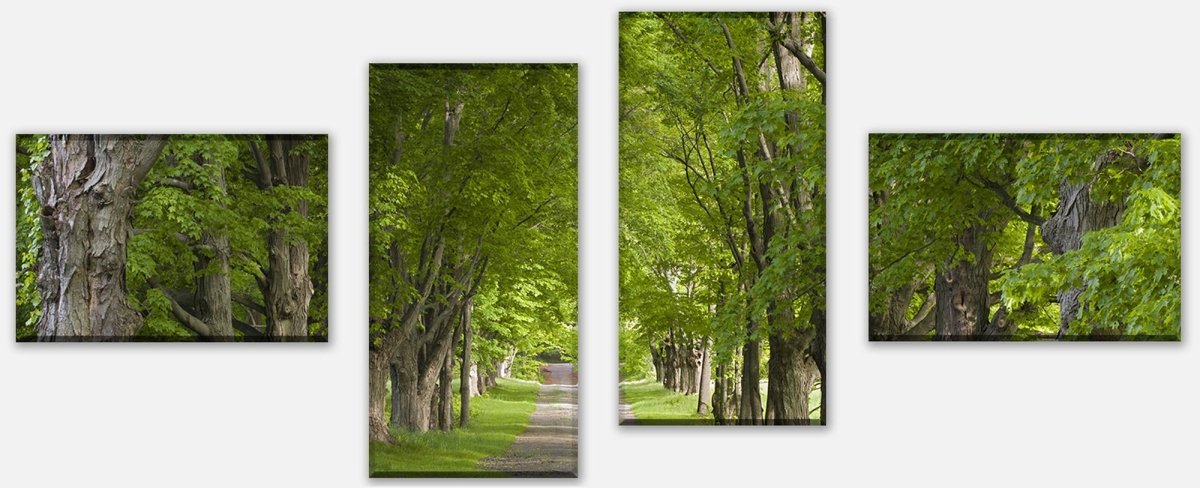 Leinwandbild Mehrteiler Sommerallee M0357 Leinwandbild Mehrteiler Sommerallee M0357
