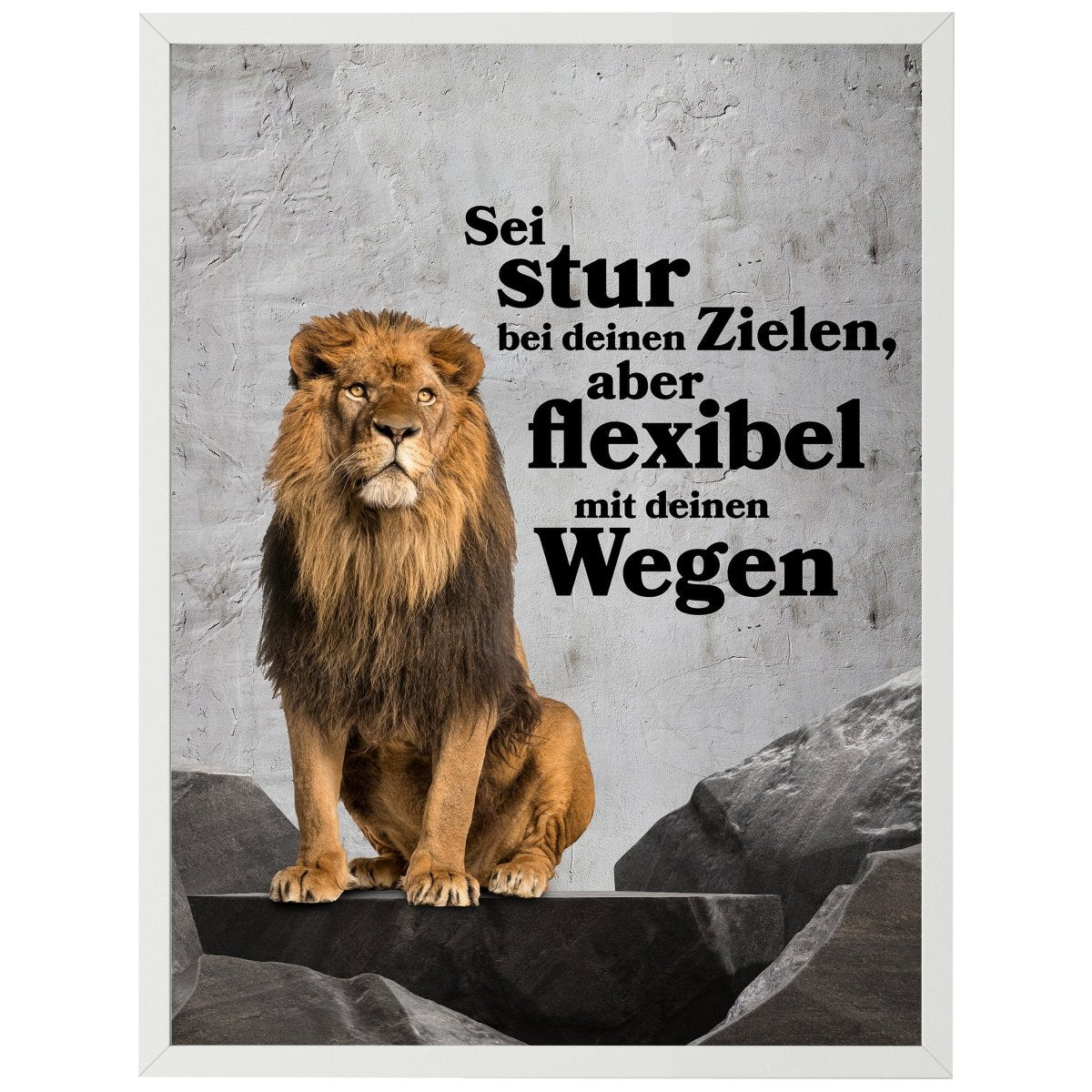 wandmotiv24 Poster, Poster - Löwe, Motivation, Spruch - M0357 - Bild 1 wandmotiv24 Poster, Poster - Löwe, Motivation, Spruch - M0357 - Bild 1