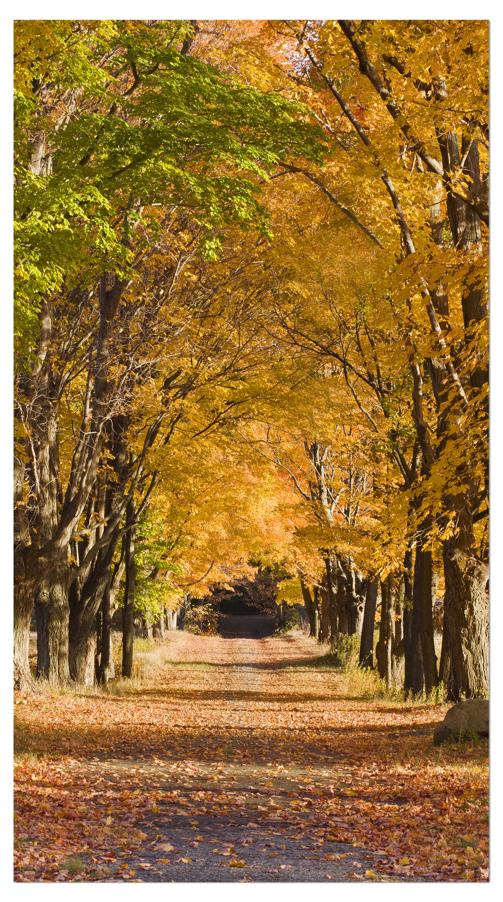 Garderobe Herbstallee M0360 entdecken - Bild 4 Garderobe Herbstallee M0360 entdecken - Bild 4
