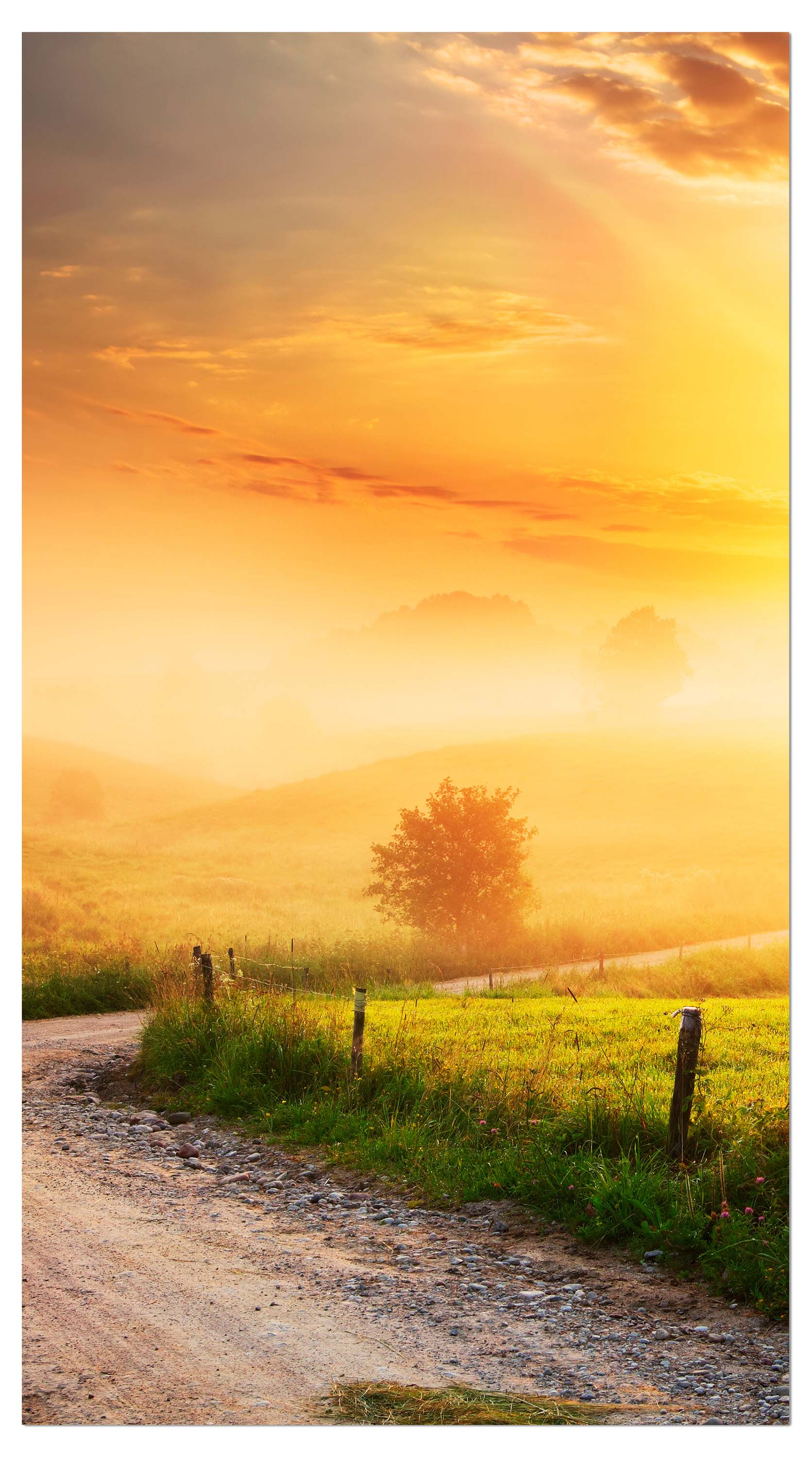 Garderobe Weg im Morgendunst M0384 entdecken - Bild 4 Garderobe Weg im Morgendunst M0384 entdecken - Bild 4