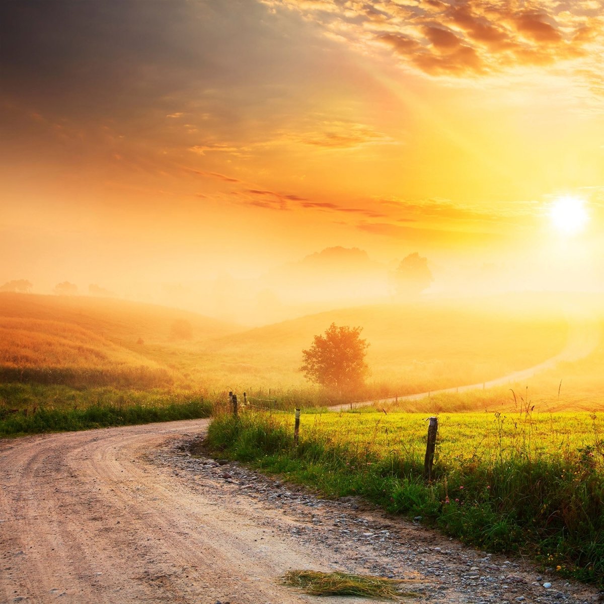 Beistelltisch Weg im Morgendunst M0384 entdecken - Bild 2 Beistelltisch Weg im Morgendunst M0384 entdecken - Bild 2