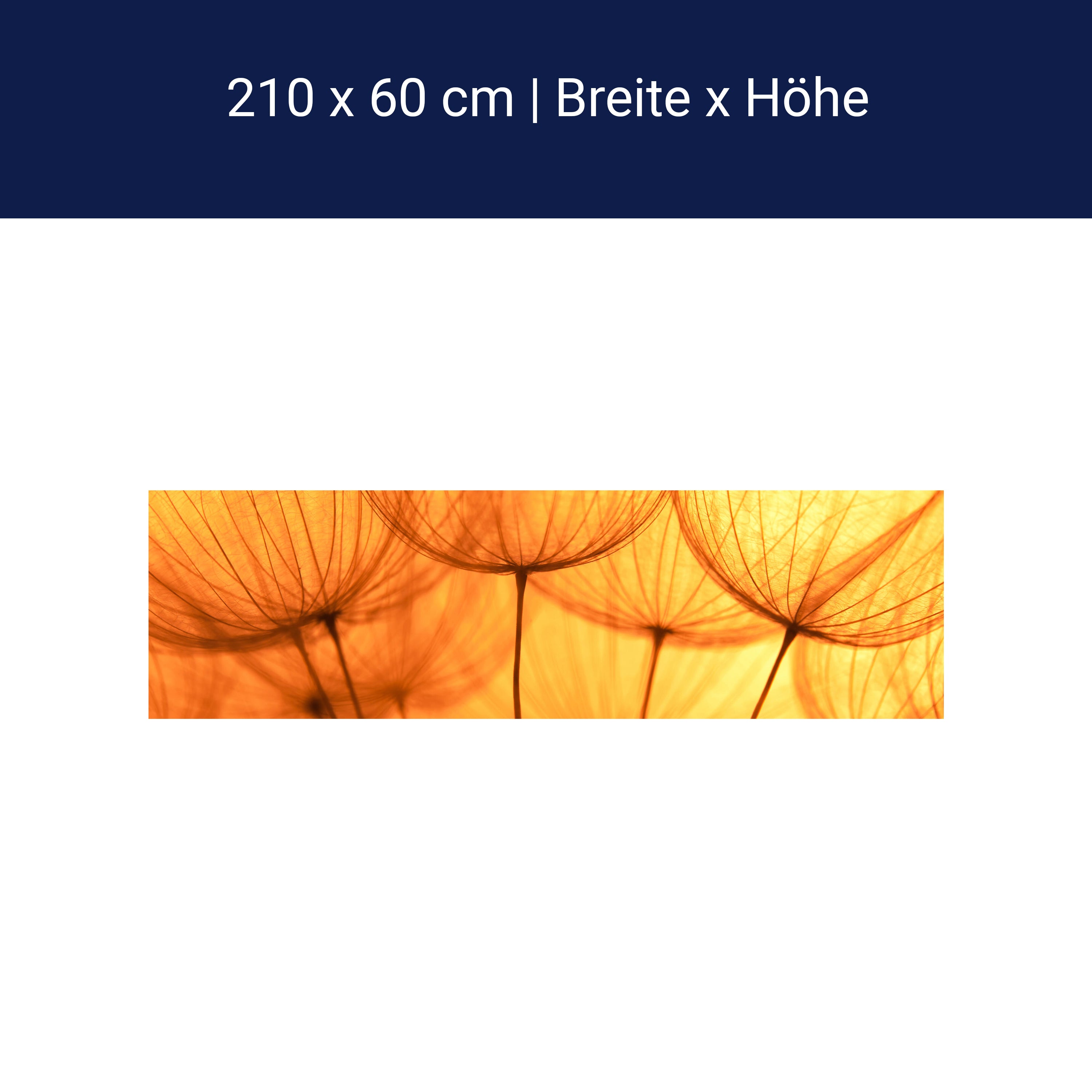 Küchenrückwand Pusteblume Orange M0390 Küchenrückwand Pusteblume Orange M0390