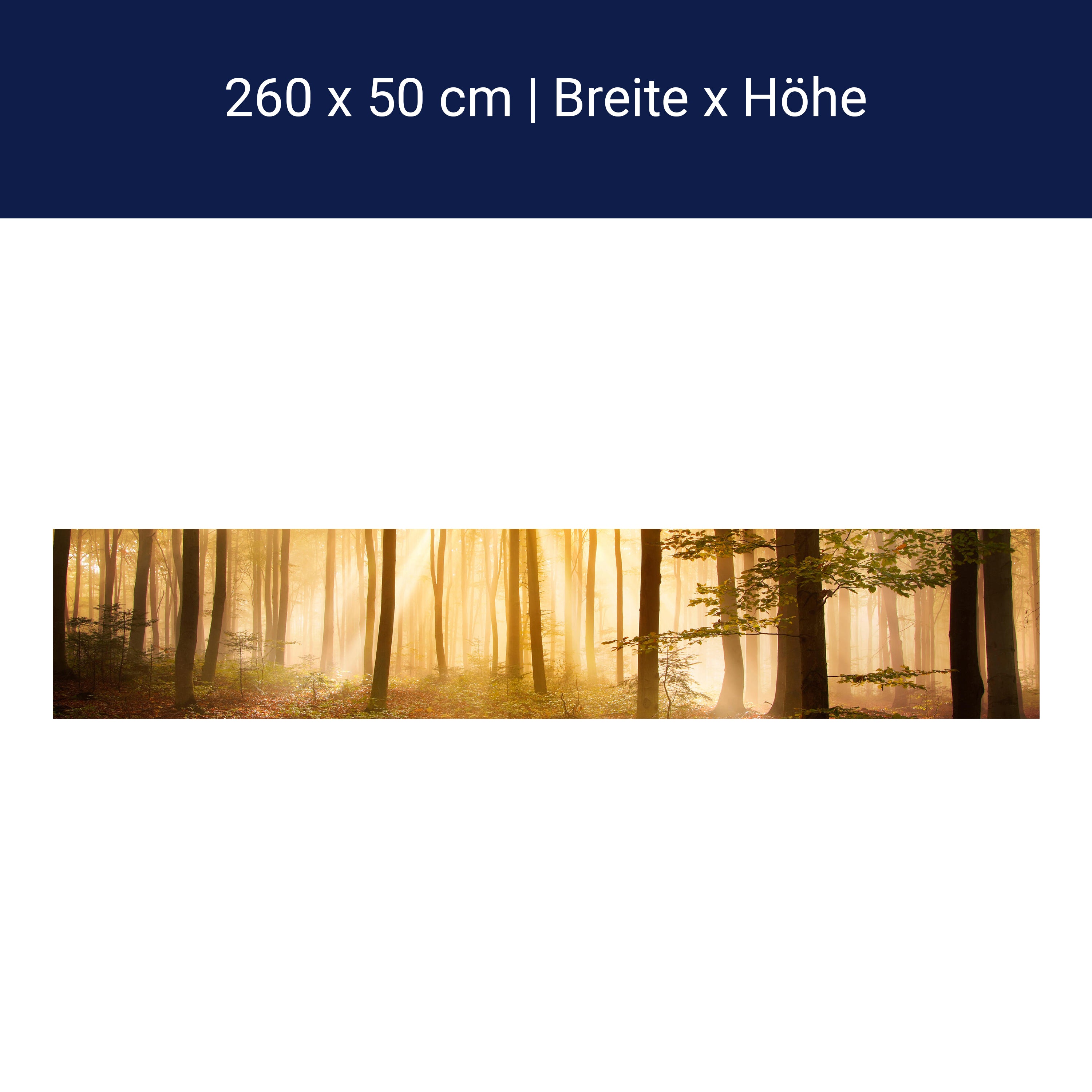 Küchenrückwand Wald am Morgen M0391 Küchenrückwand Wald am Morgen M0391