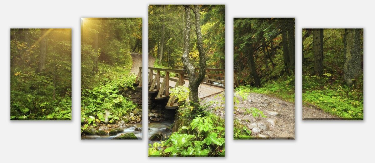 Leinwandbild Mehrteiler Waldweg mit Bach M0397 entdecken - Bild 1 Leinwandbild Mehrteiler Waldweg mit Bach M0397 entdecken - Bild 1