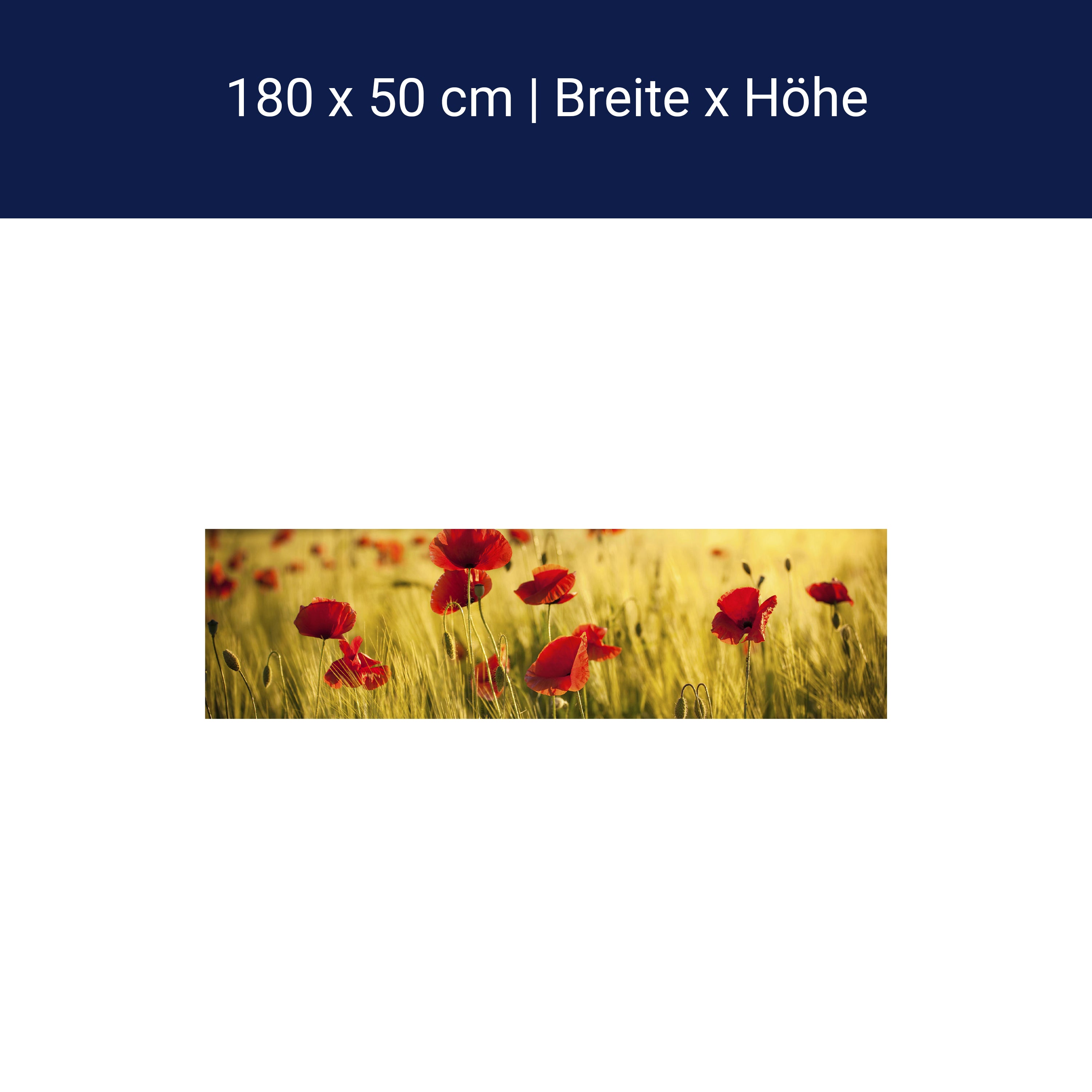 Küchenrückwand Kornfeld mit Mohnblumen M0398 Küchenrückwand Kornfeld mit Mohnblumen M0398