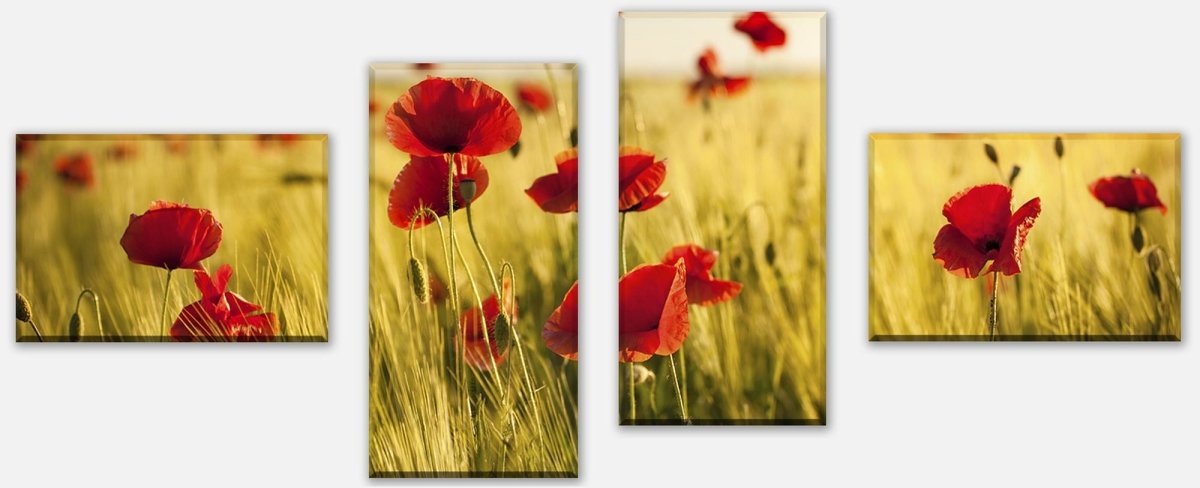 Leinwandbild Mehrteiler Kornfeld mit Mohnblumen M0398 Leinwandbild Mehrteiler Kornfeld mit Mohnblumen M0398