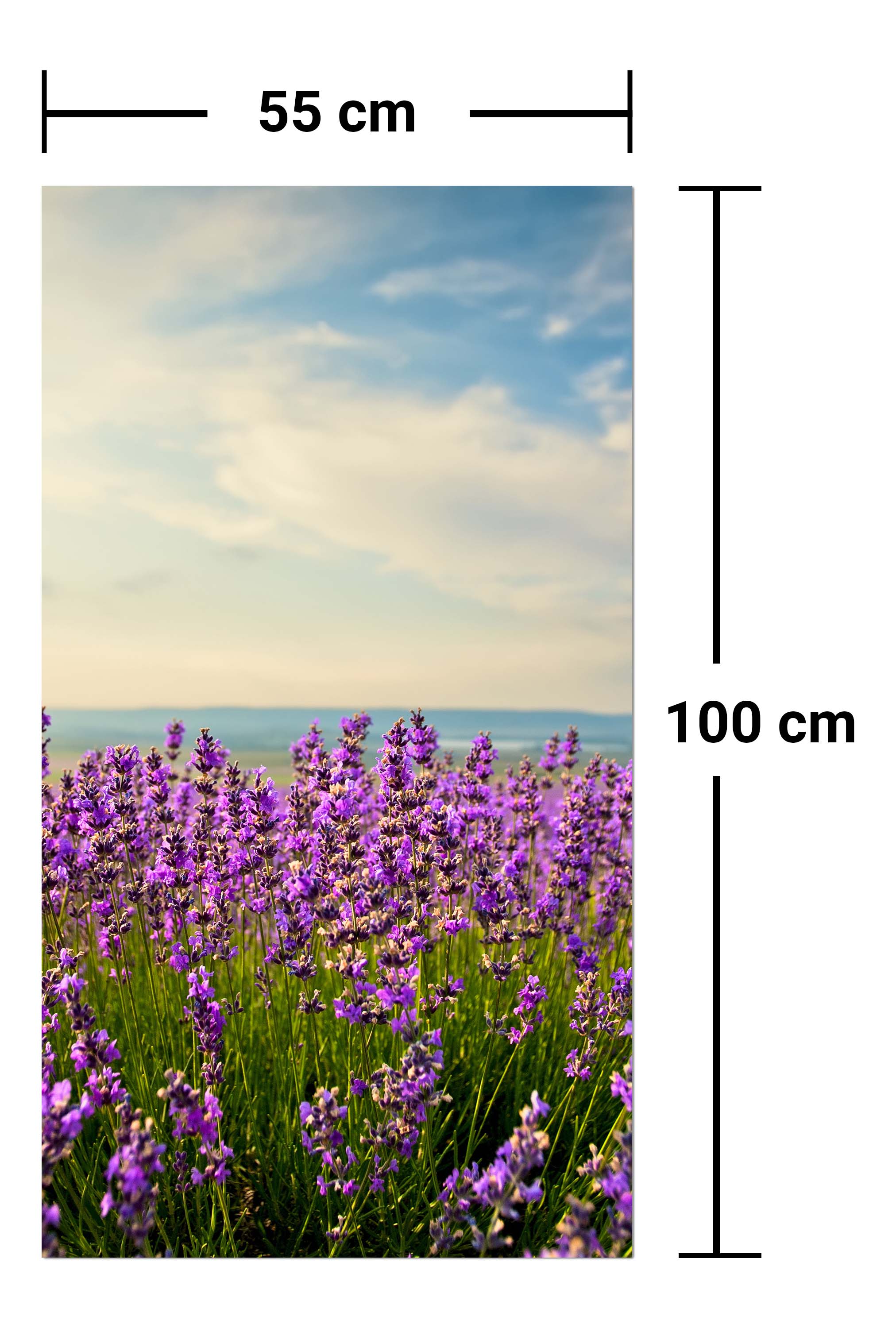 Garderobe Lavendel M0411 entdecken - Bild 7 Garderobe Lavendel M0411 entdecken - Bild 7