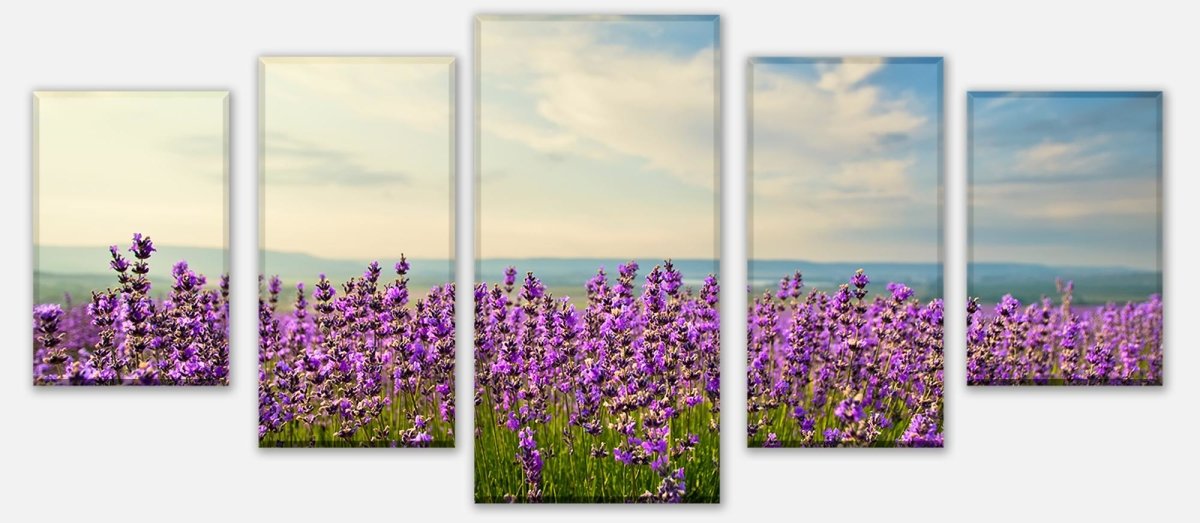 Leinwandbild Mehrteiler Lavendel M0411 entdecken - Bild 1 Leinwandbild Mehrteiler Lavendel M0411 entdecken - Bild 1