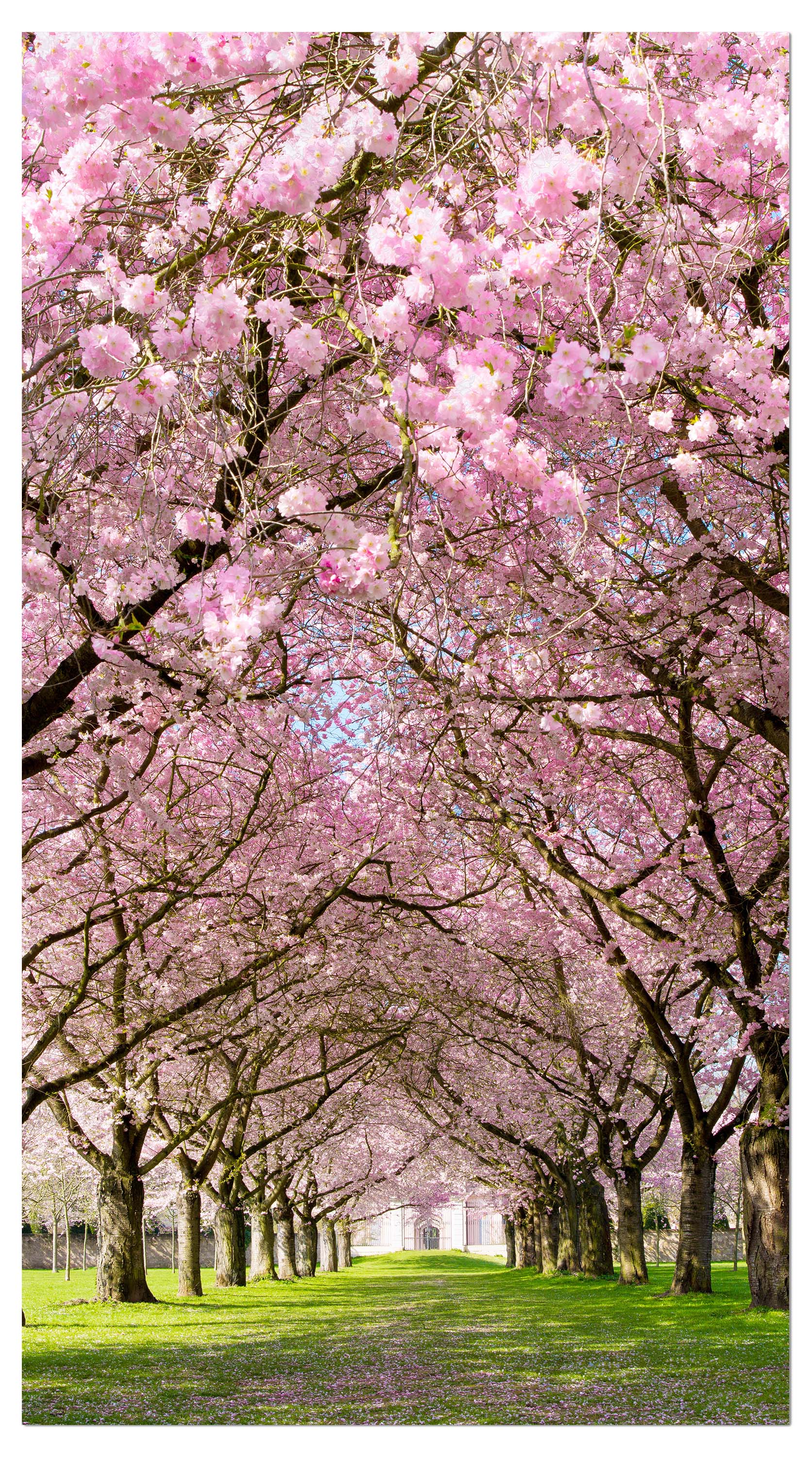 Garderobe Kirschbaumallee M0412 entdecken - Bild 4 Garderobe Kirschbaumallee M0412 entdecken - Bild 4