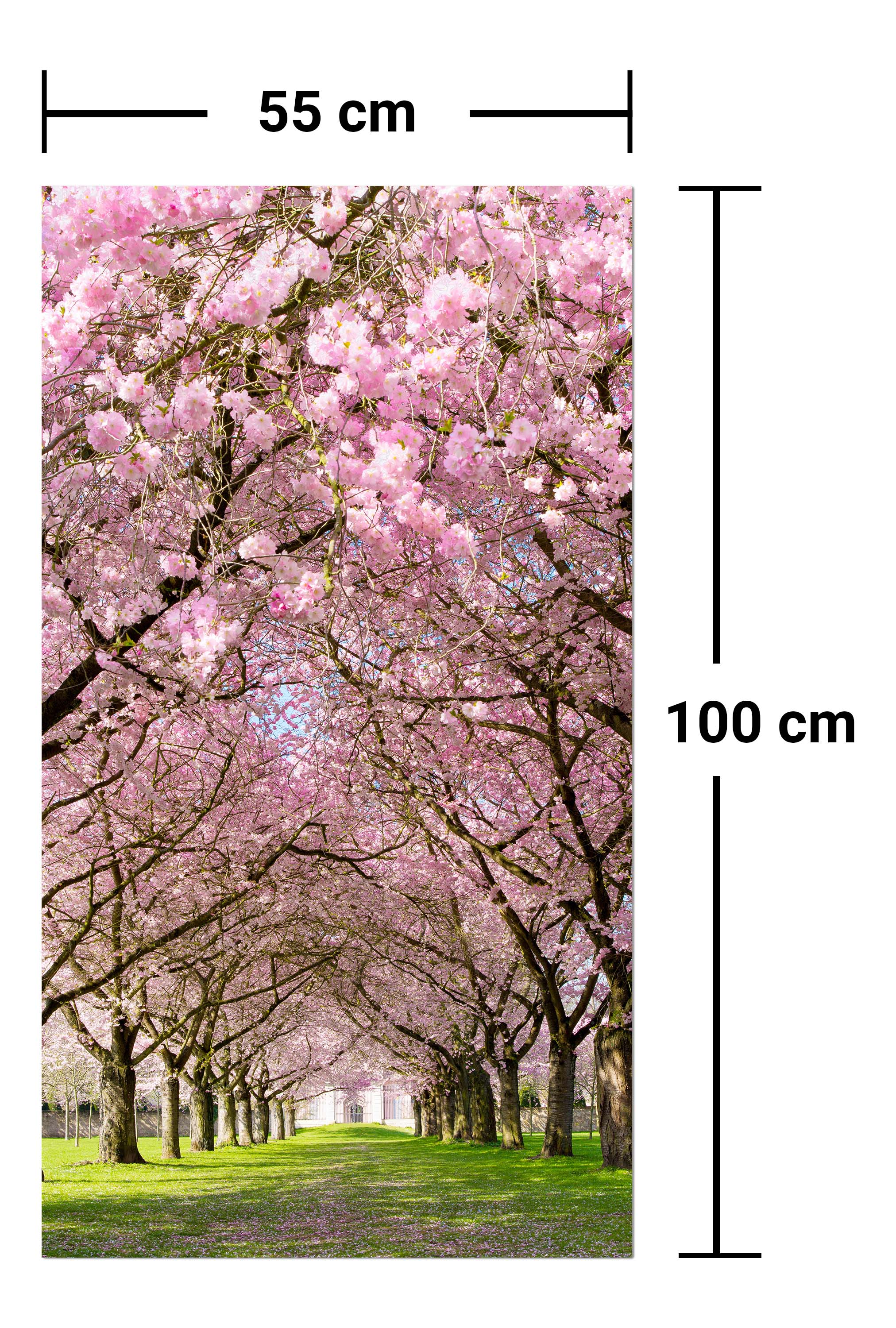 Garderobe Kirschbaumallee M0412 entdecken - Bild 7 Garderobe Kirschbaumallee M0412 entdecken - Bild 7