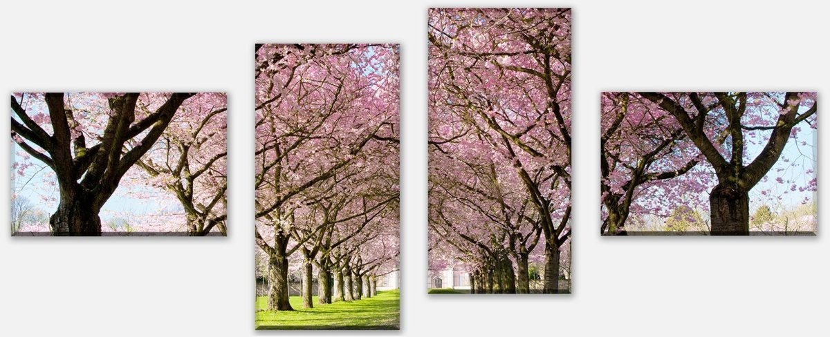 Leinwandbild Mehrteiler Kirschbaumallee M0412 Leinwandbild Mehrteiler Kirschbaumallee M0412