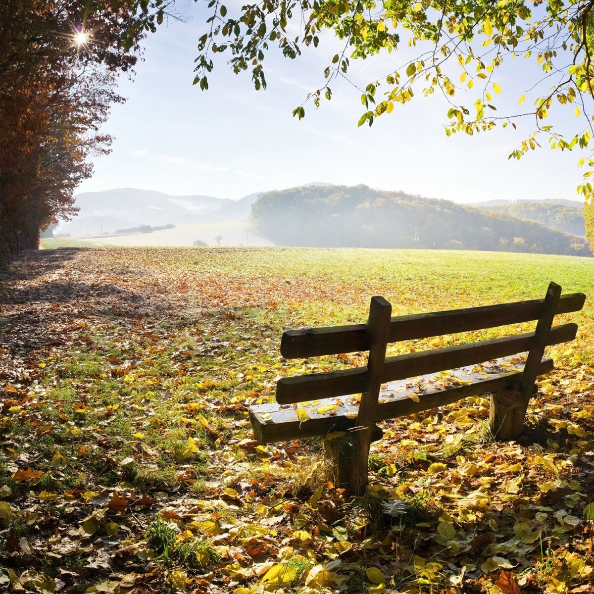 Beistelltisch Parkbank im Herbst M0415 entdecken - Bild 2 Beistelltisch Parkbank im Herbst M0415 entdecken - Bild 2