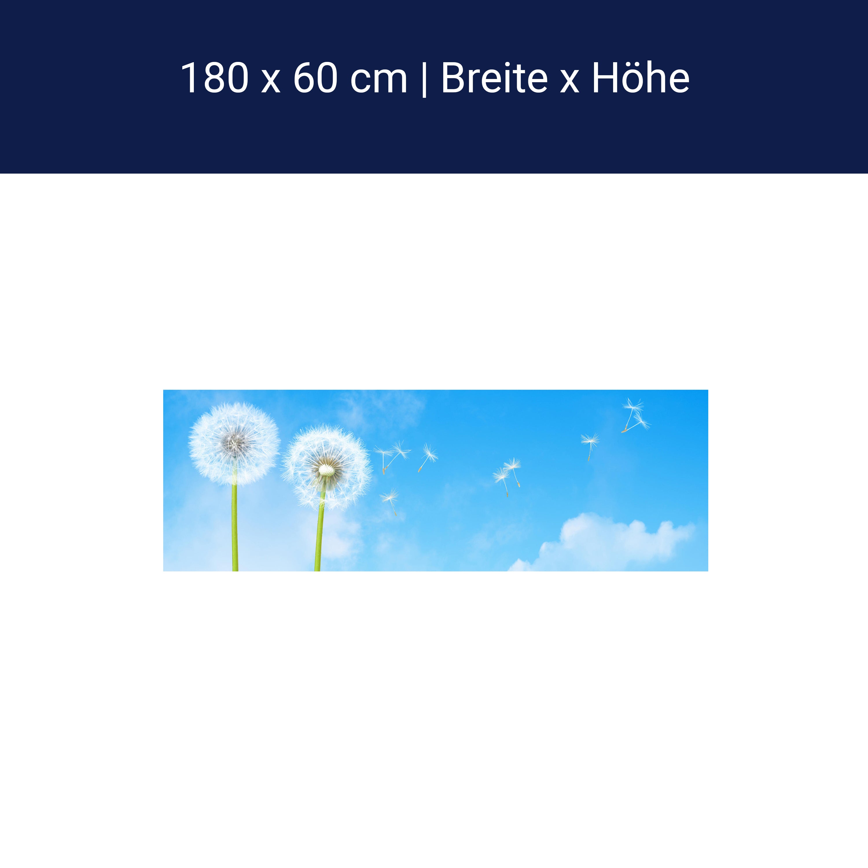 Küchenrückwand Pusteblumen M0416 Küchenrückwand Pusteblumen M0416