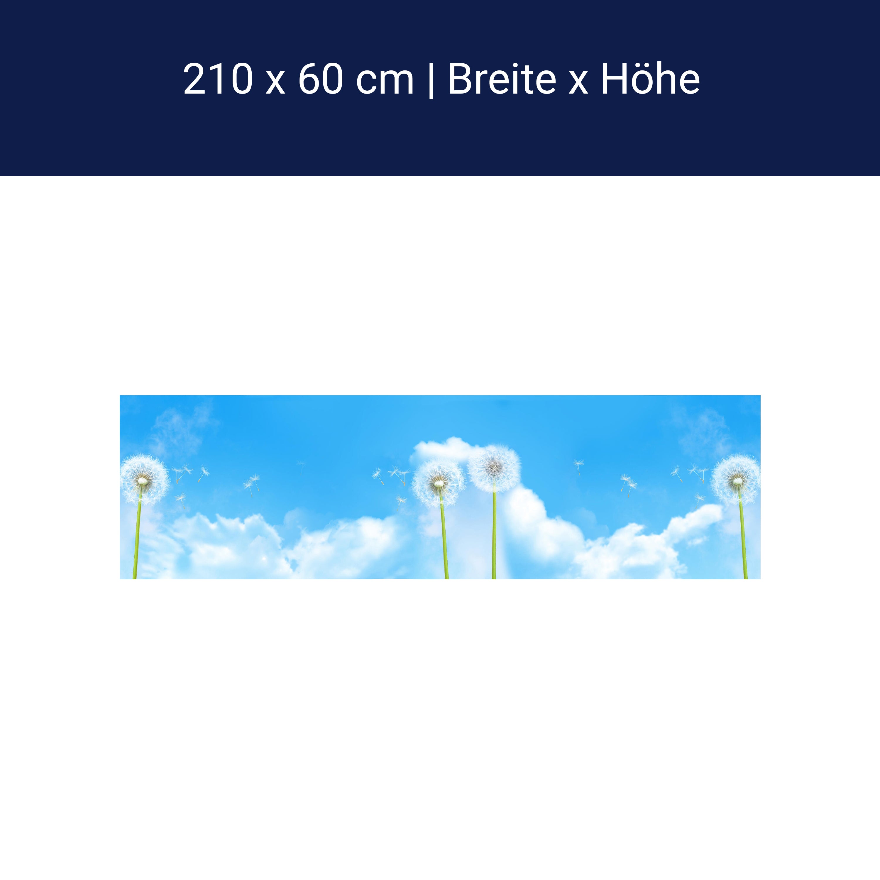 Küchenrückwand Pusteblumen M0416 Küchenrückwand Pusteblumen M0416