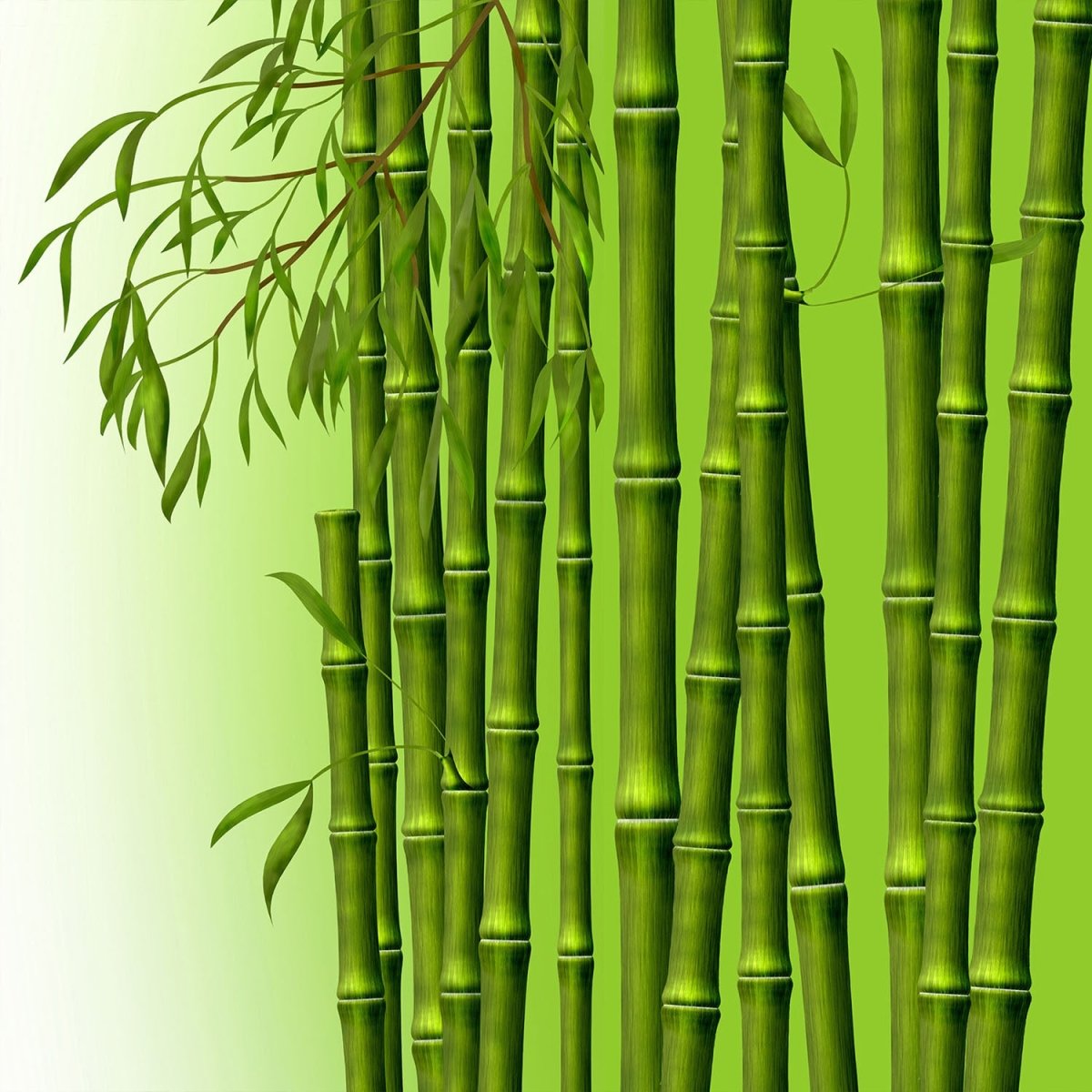 Beistelltisch Bambuszweige M0461 entdecken - Bild 2 Beistelltisch Bambuszweige M0461 entdecken - Bild 2