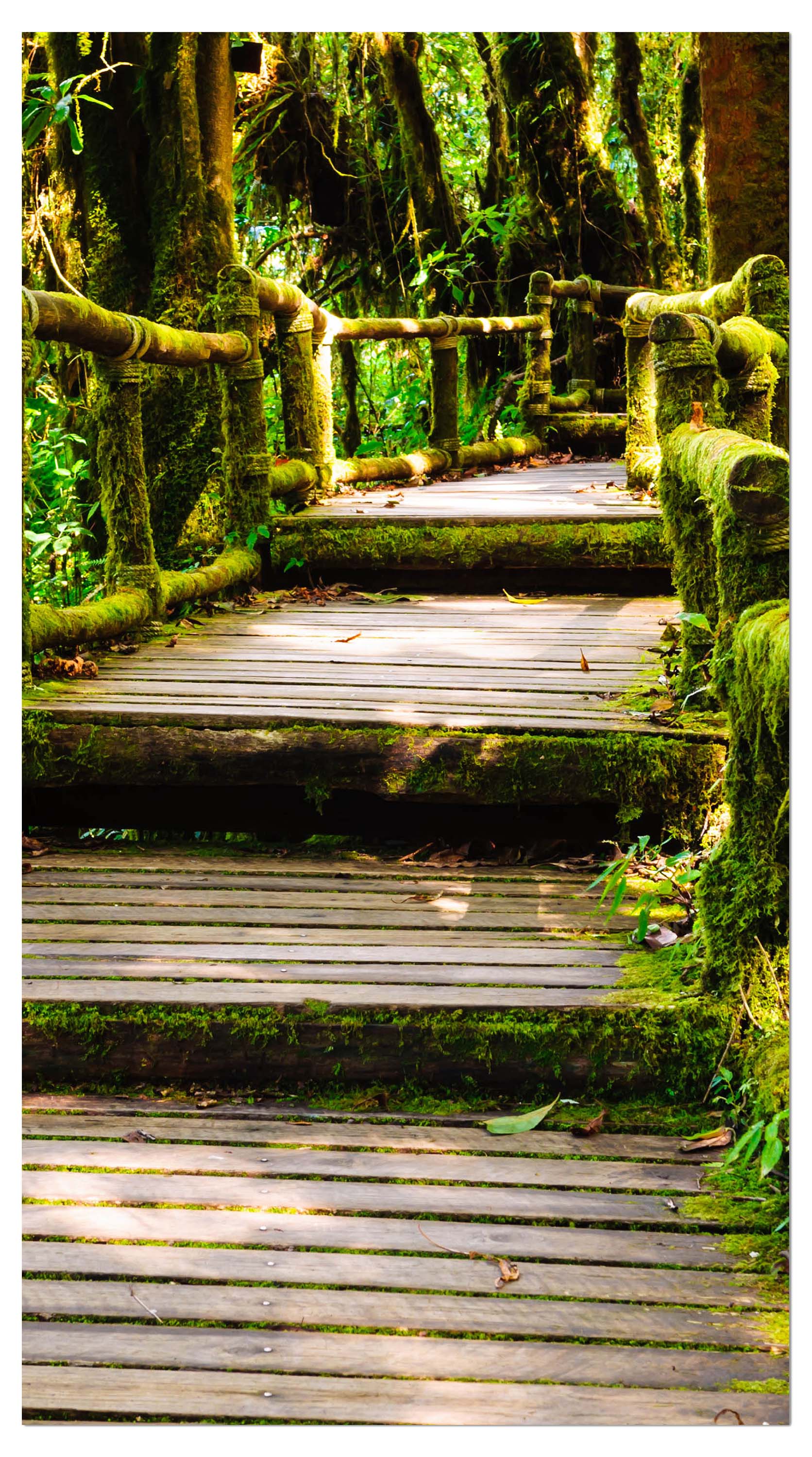 Garderobe Treppe im Urwald M0486 entdecken - Bild 4 Garderobe Treppe im Urwald M0486 entdecken - Bild 4