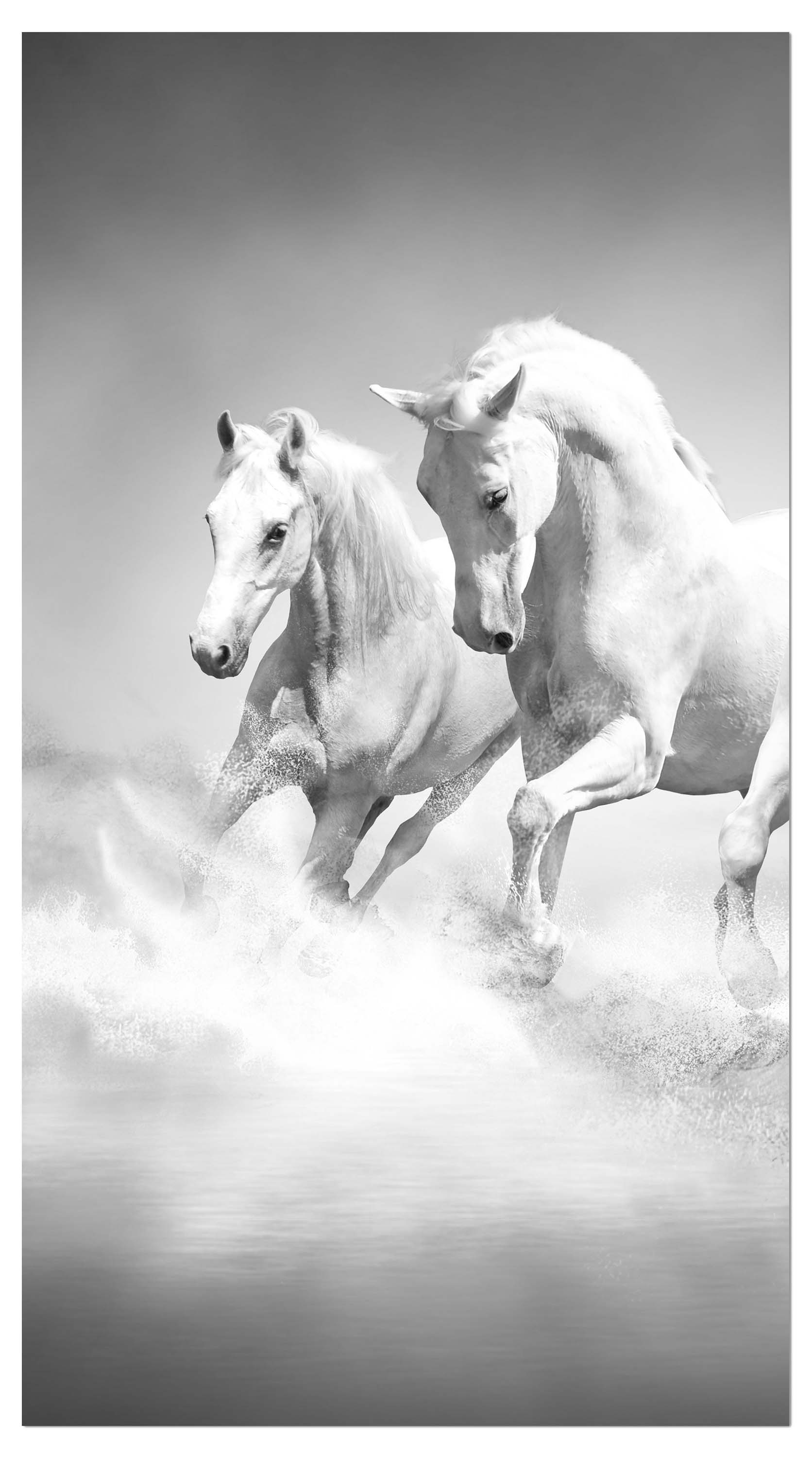 Garderobe weiße Traumpferde M0489 entdecken - Bild 4 Garderobe weiße Traumpferde M0489 entdecken - Bild 4