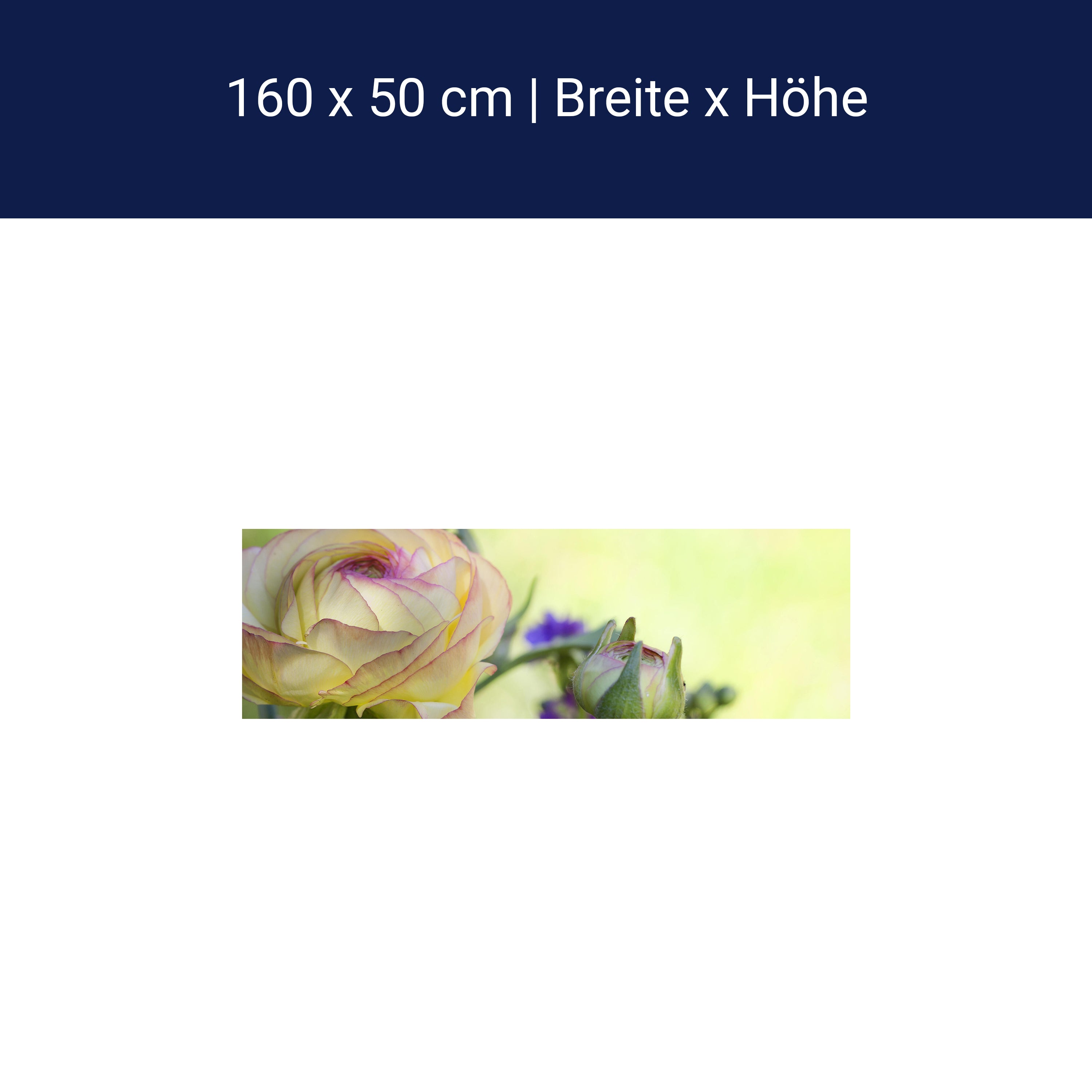 Küchenrückwand Ranunkel M0492 Küchenrückwand Ranunkel M0492