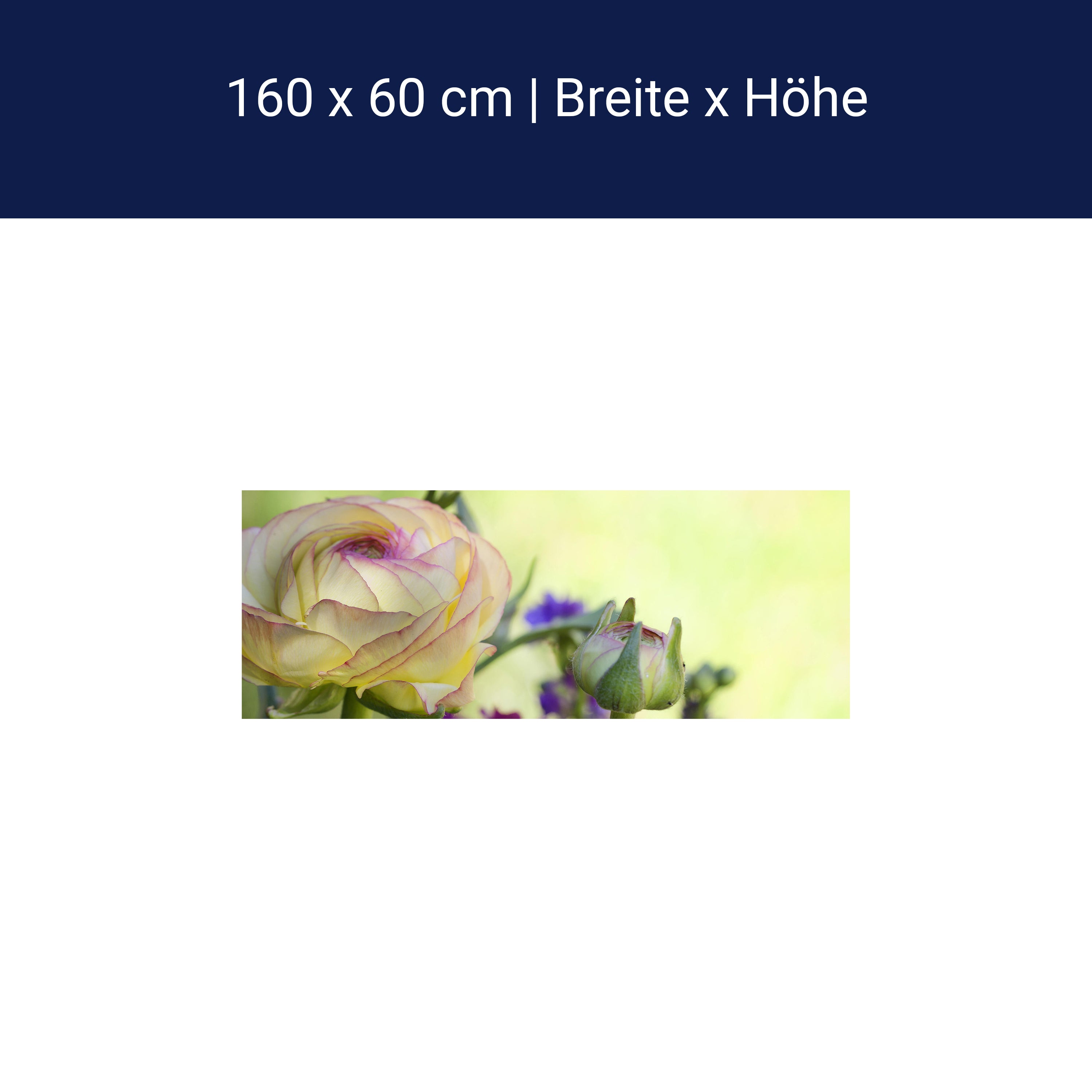 Küchenrückwand Ranunkel M0492 Küchenrückwand Ranunkel M0492