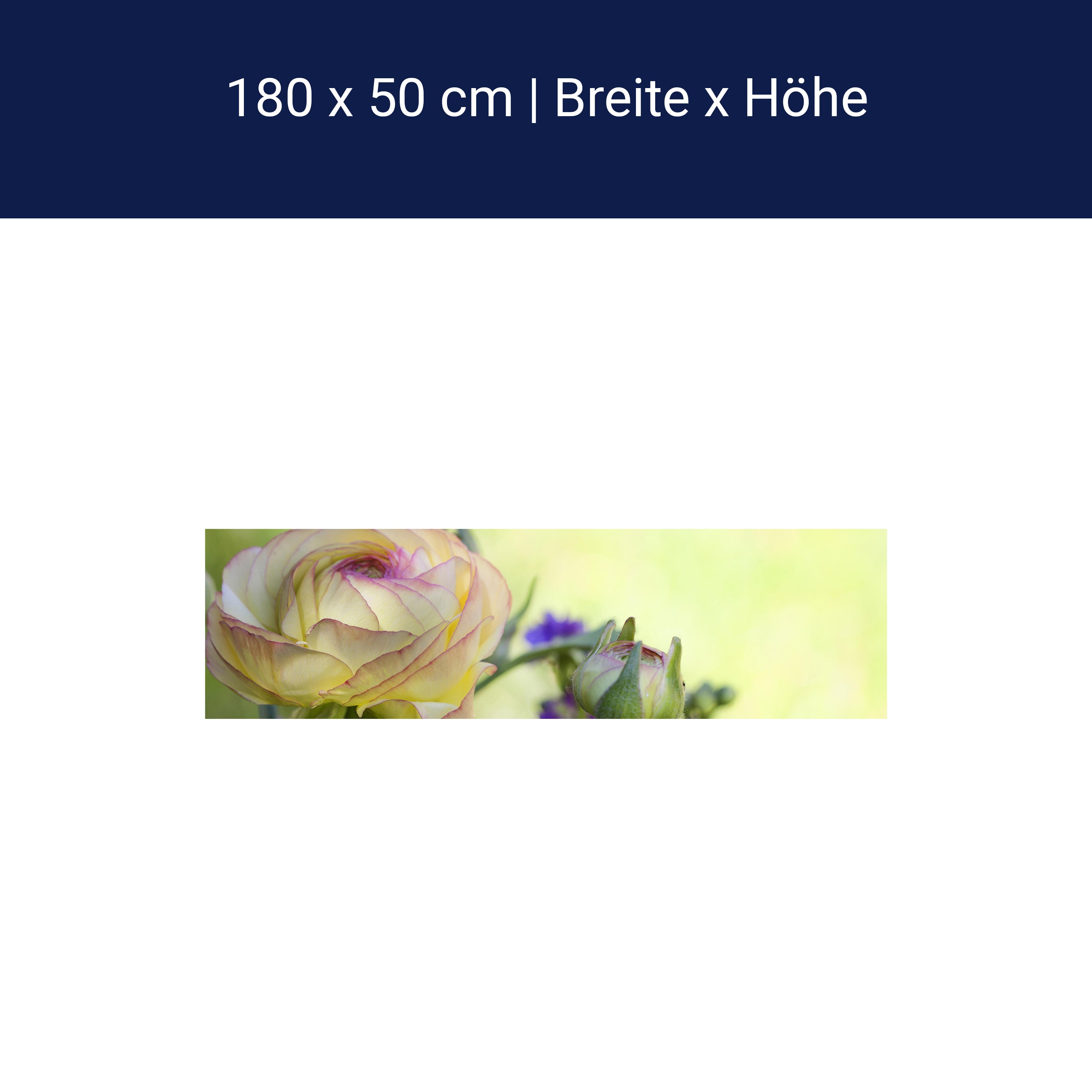 Küchenrückwand Ranunkel M0492 Küchenrückwand Ranunkel M0492