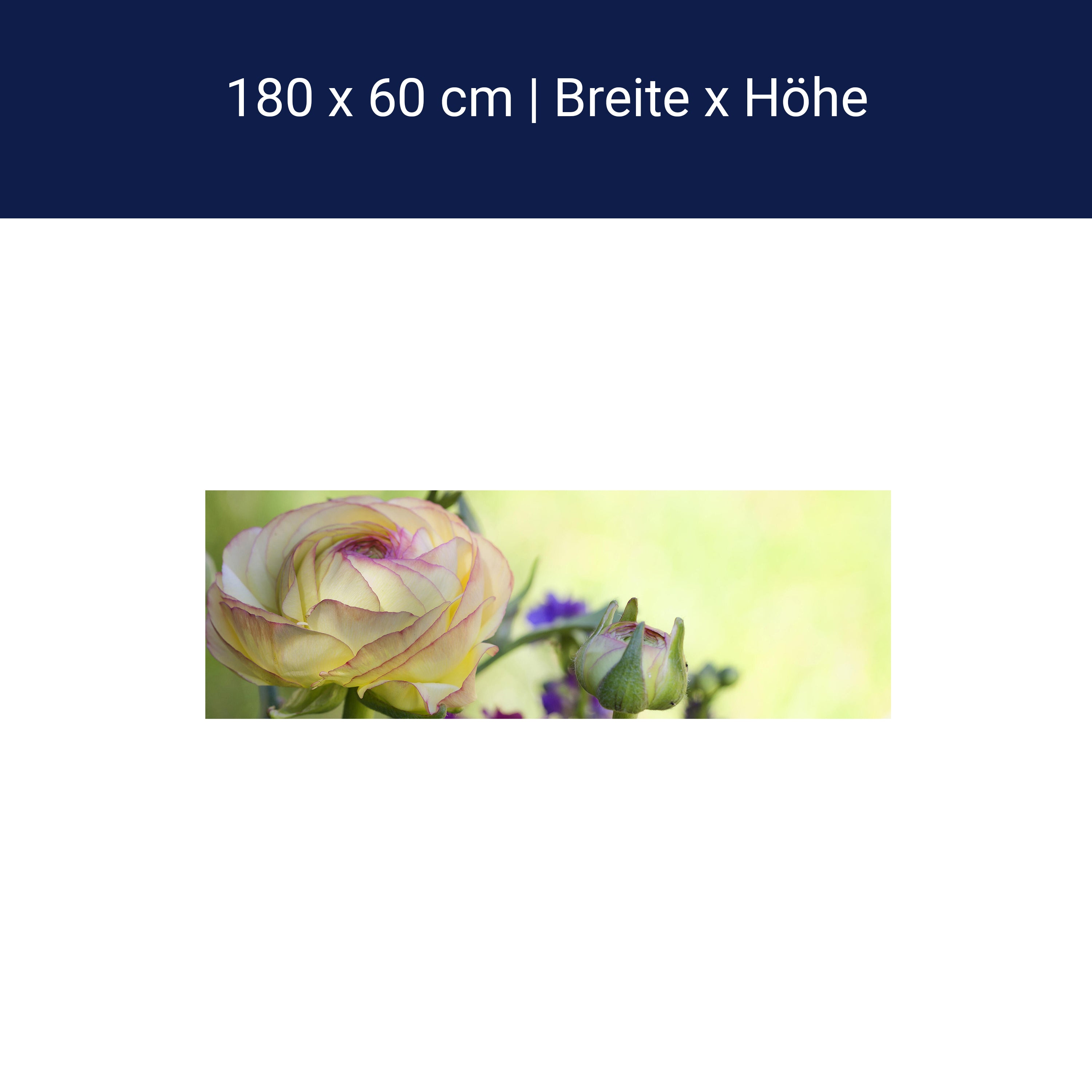 Küchenrückwand Ranunkel M0492 Küchenrückwand Ranunkel M0492