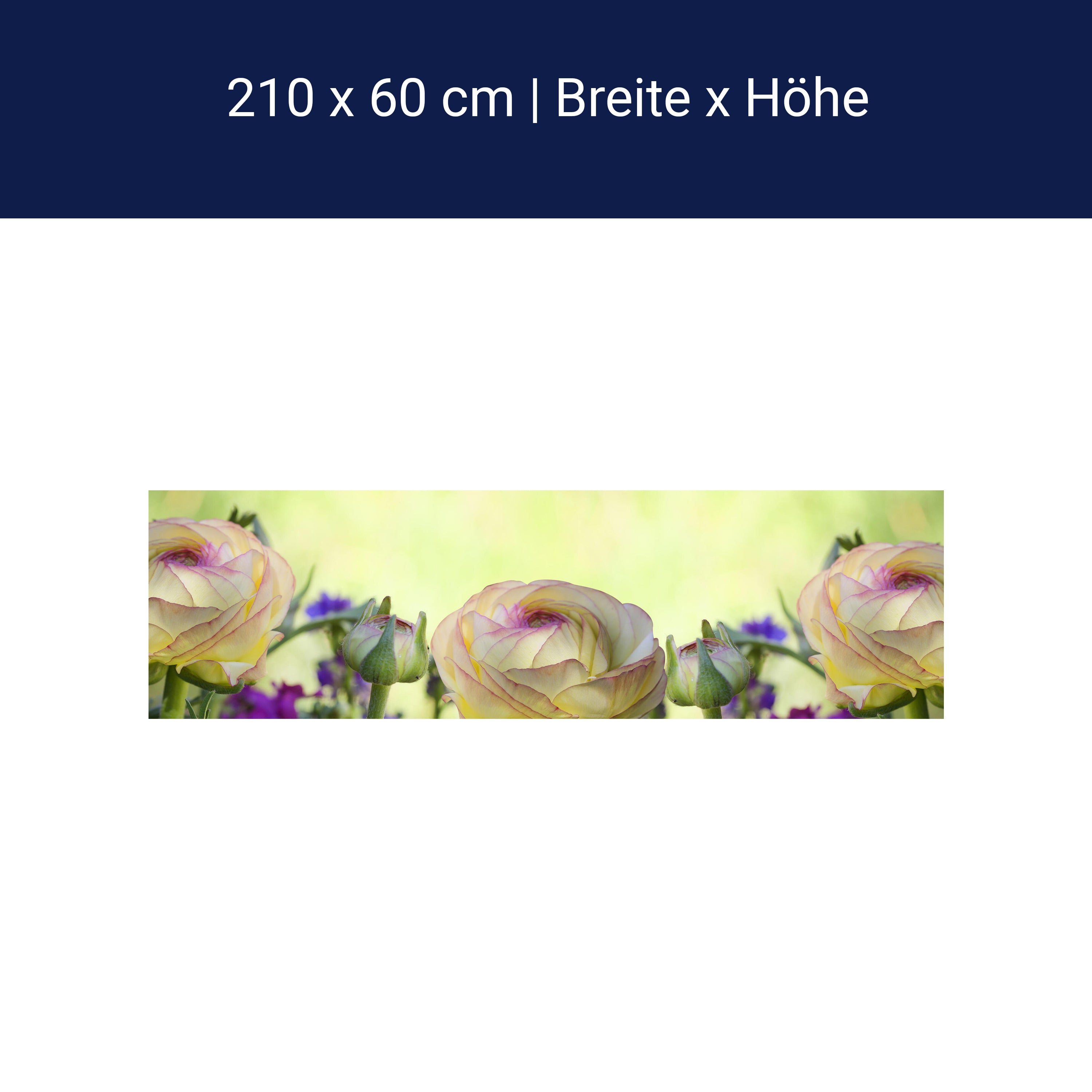 Küchenrückwand Ranunkel M0492 Küchenrückwand Ranunkel M0492