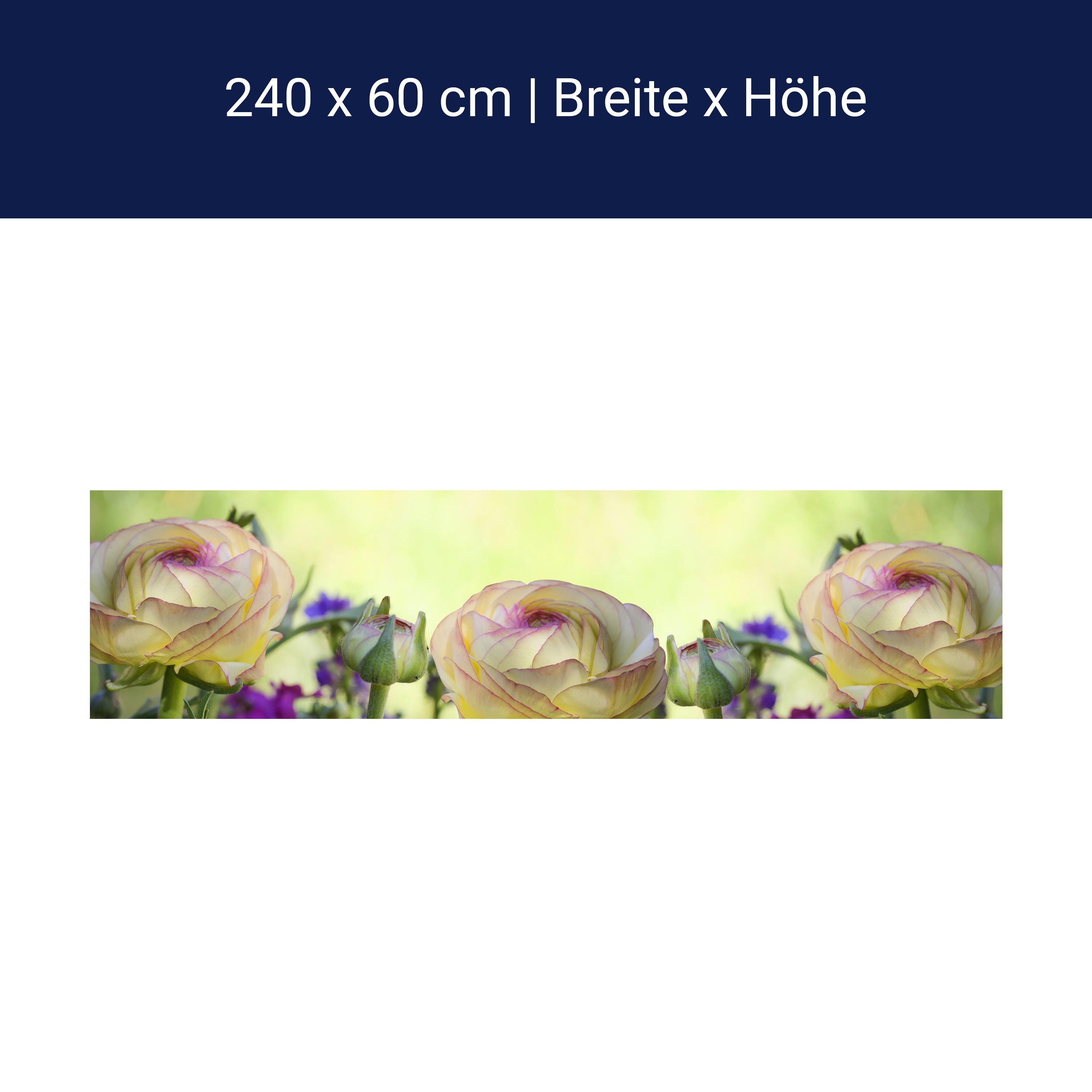 Küchenrückwand Ranunkel M0492 Küchenrückwand Ranunkel M0492