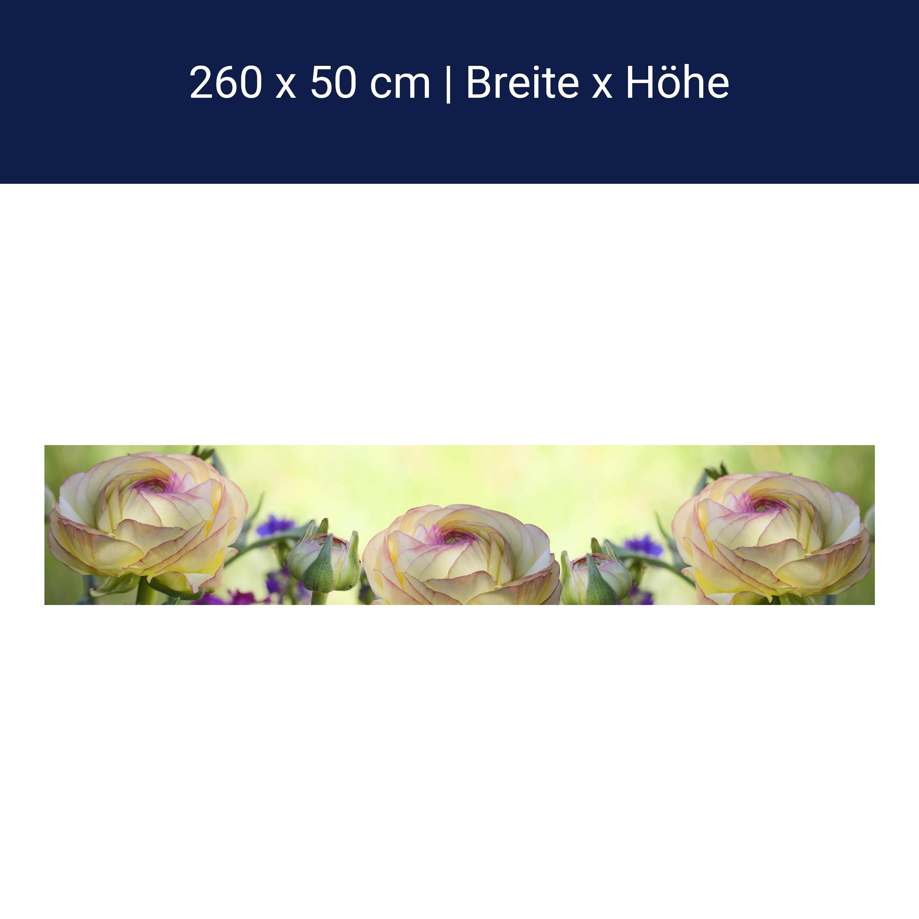 Küchenrückwand Ranunkel M0492 Küchenrückwand Ranunkel M0492