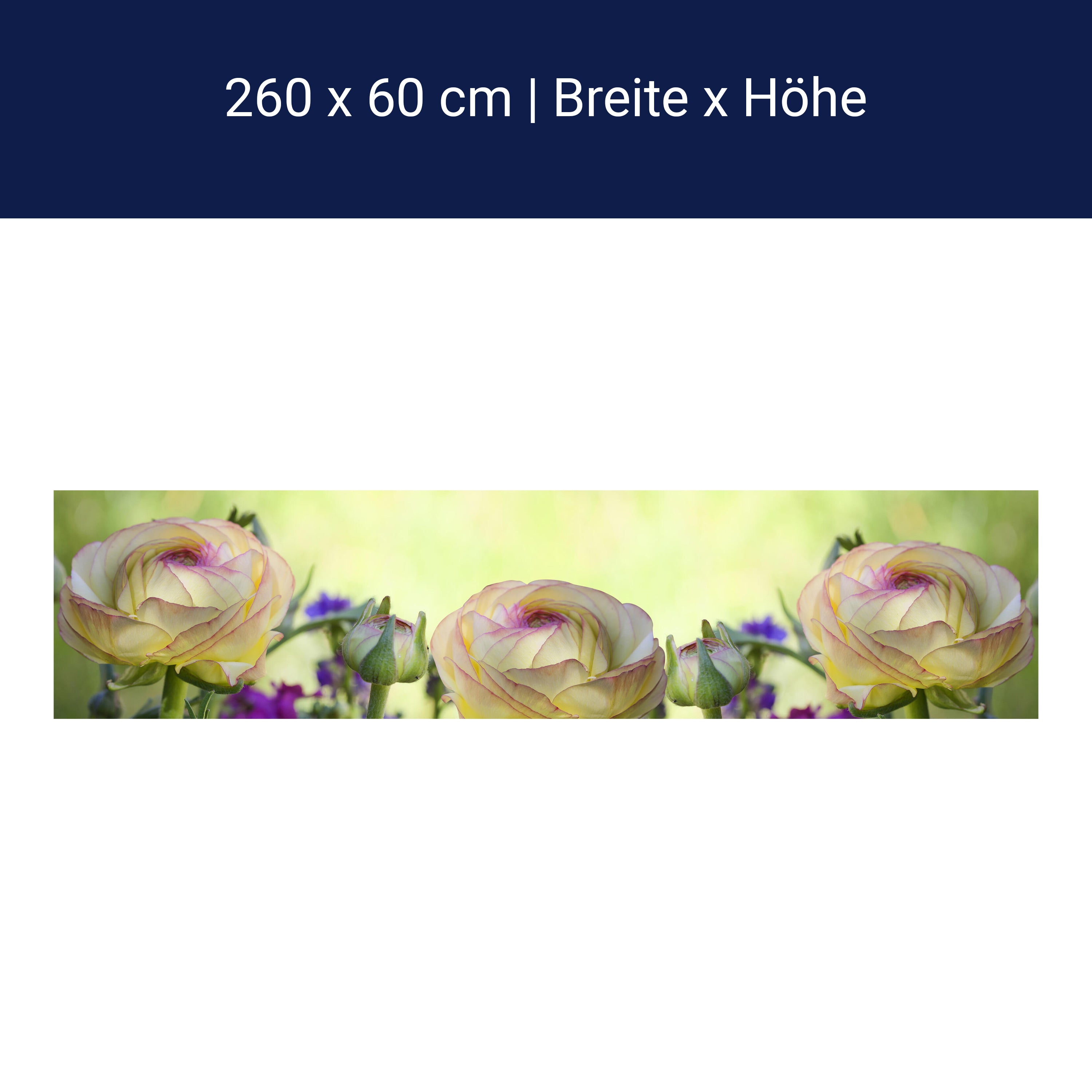 Küchenrückwand Ranunkel M0492 Küchenrückwand Ranunkel M0492