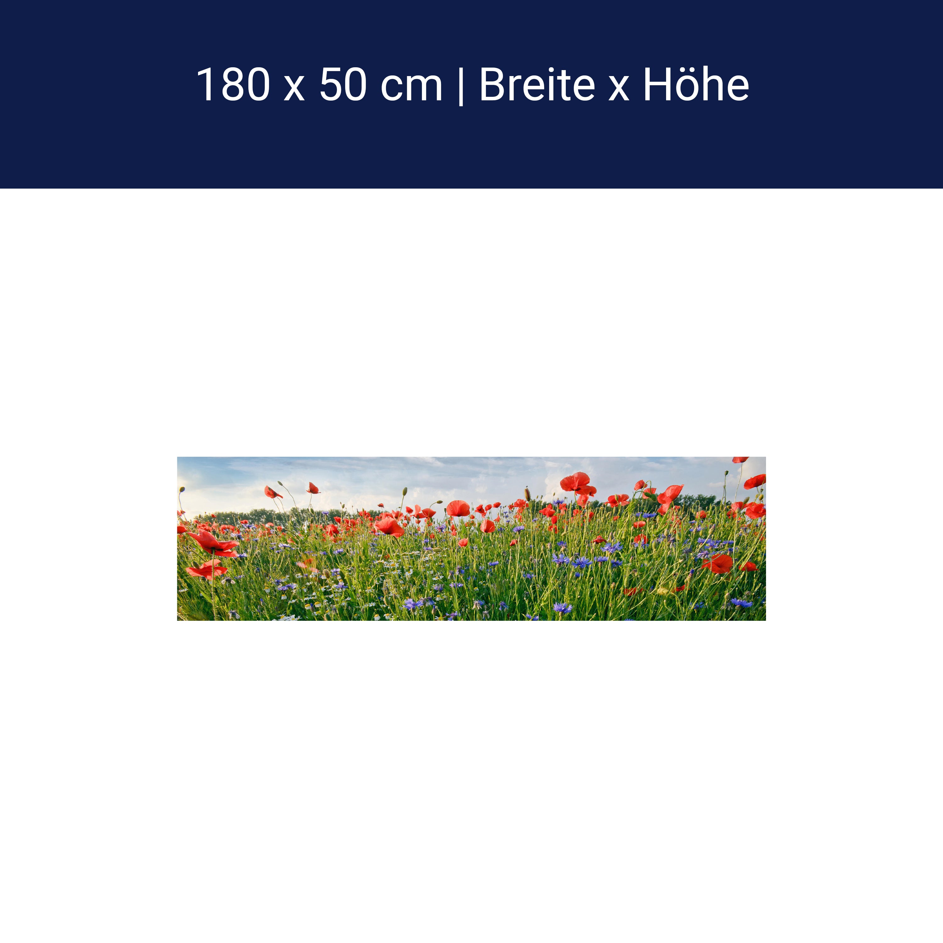 Küchenrückwand Blumenwiese M0493 Küchenrückwand Blumenwiese M0493