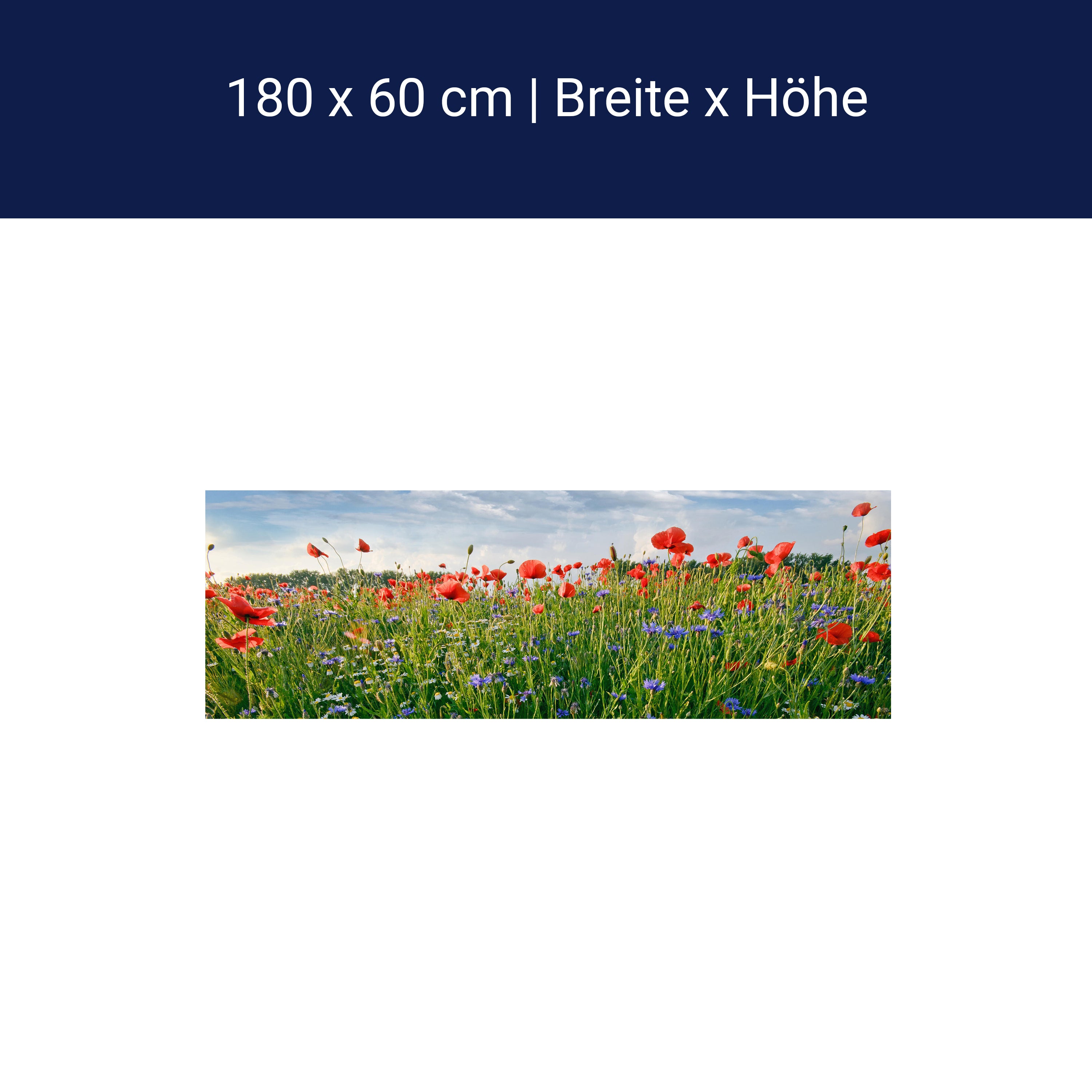 Küchenrückwand Blumenwiese M0493 Küchenrückwand Blumenwiese M0493
