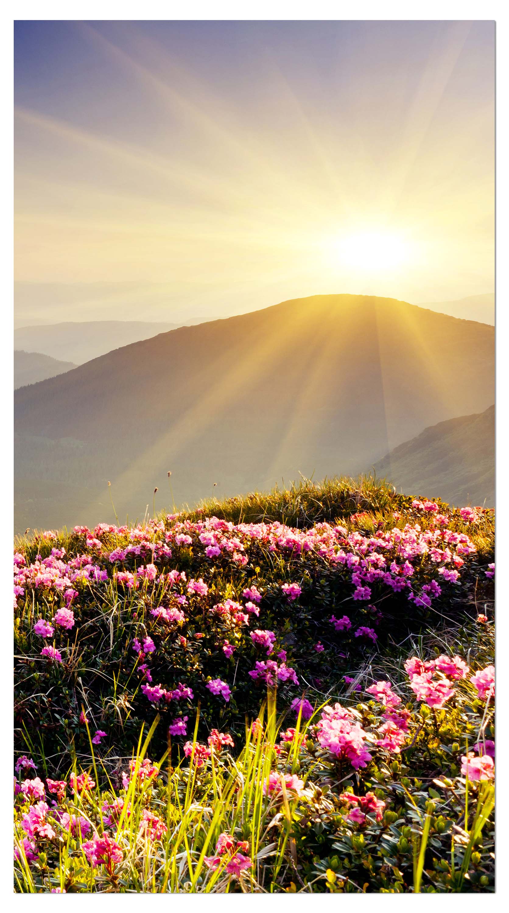 Garderobe Bergrücken im Sonnenlicht M0511 entdecken - Bild 4 Garderobe Bergrücken im Sonnenlicht M0511 entdecken - Bild 4