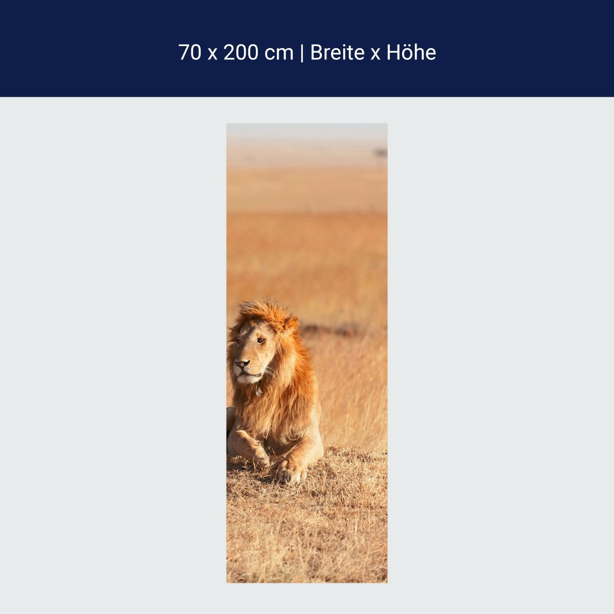 Duschwand König der Savanne M0515 Duschwand König der Savanne M0515