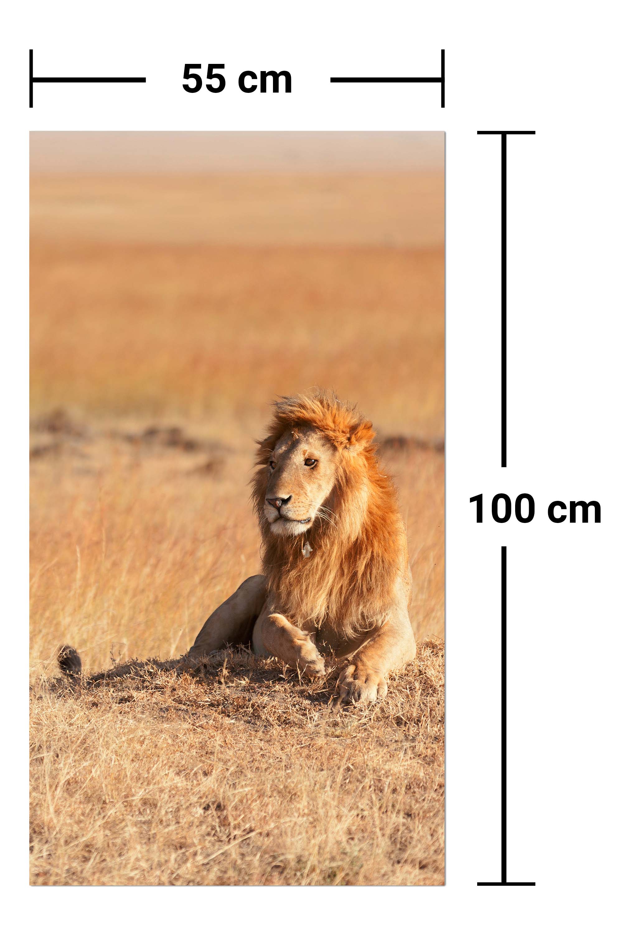 Garderobe König der Savanne M0515 entdecken - Bild 7 Garderobe König der Savanne M0515 entdecken - Bild 7