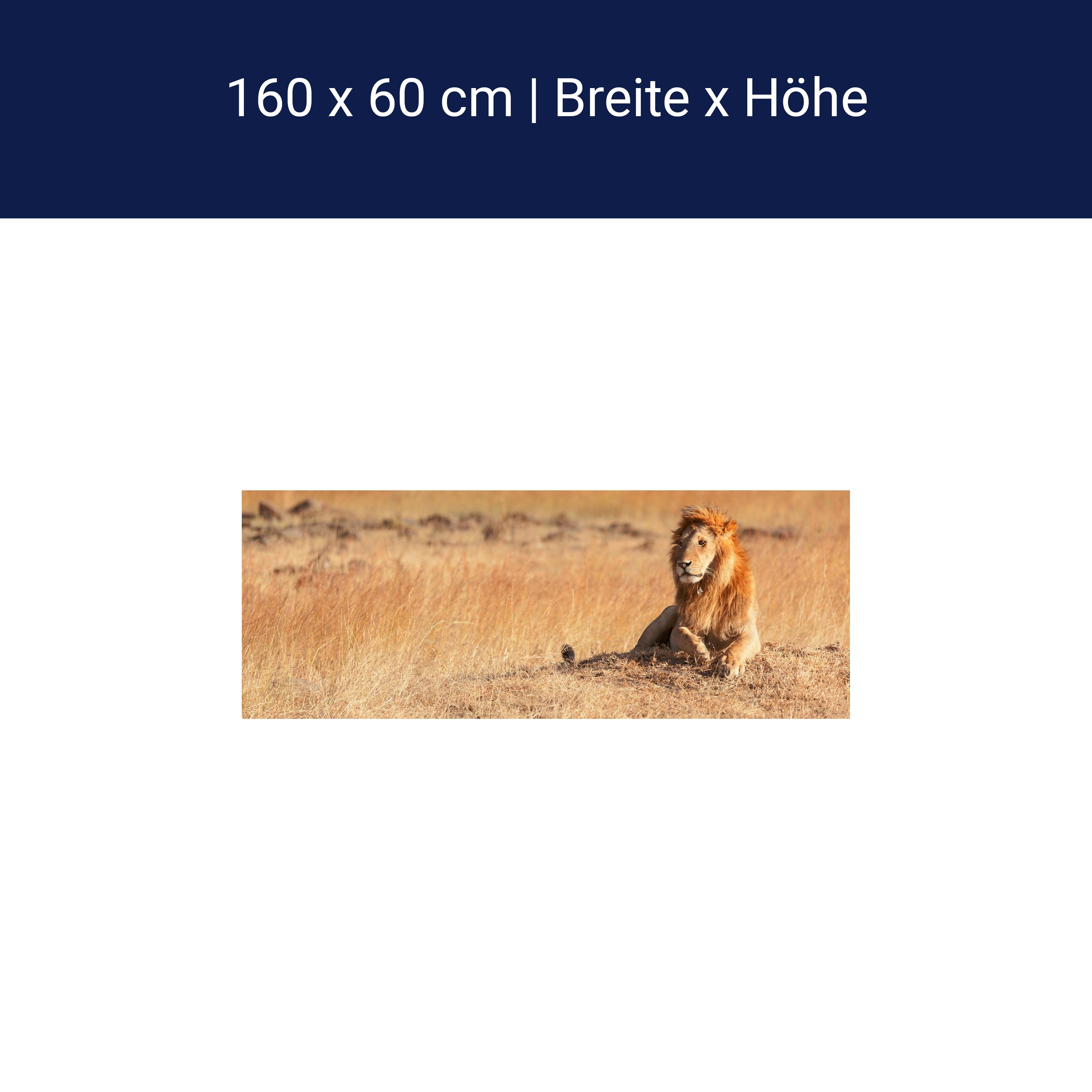 Küchenrückwand König der Savanne M0515 Küchenrückwand König der Savanne M0515