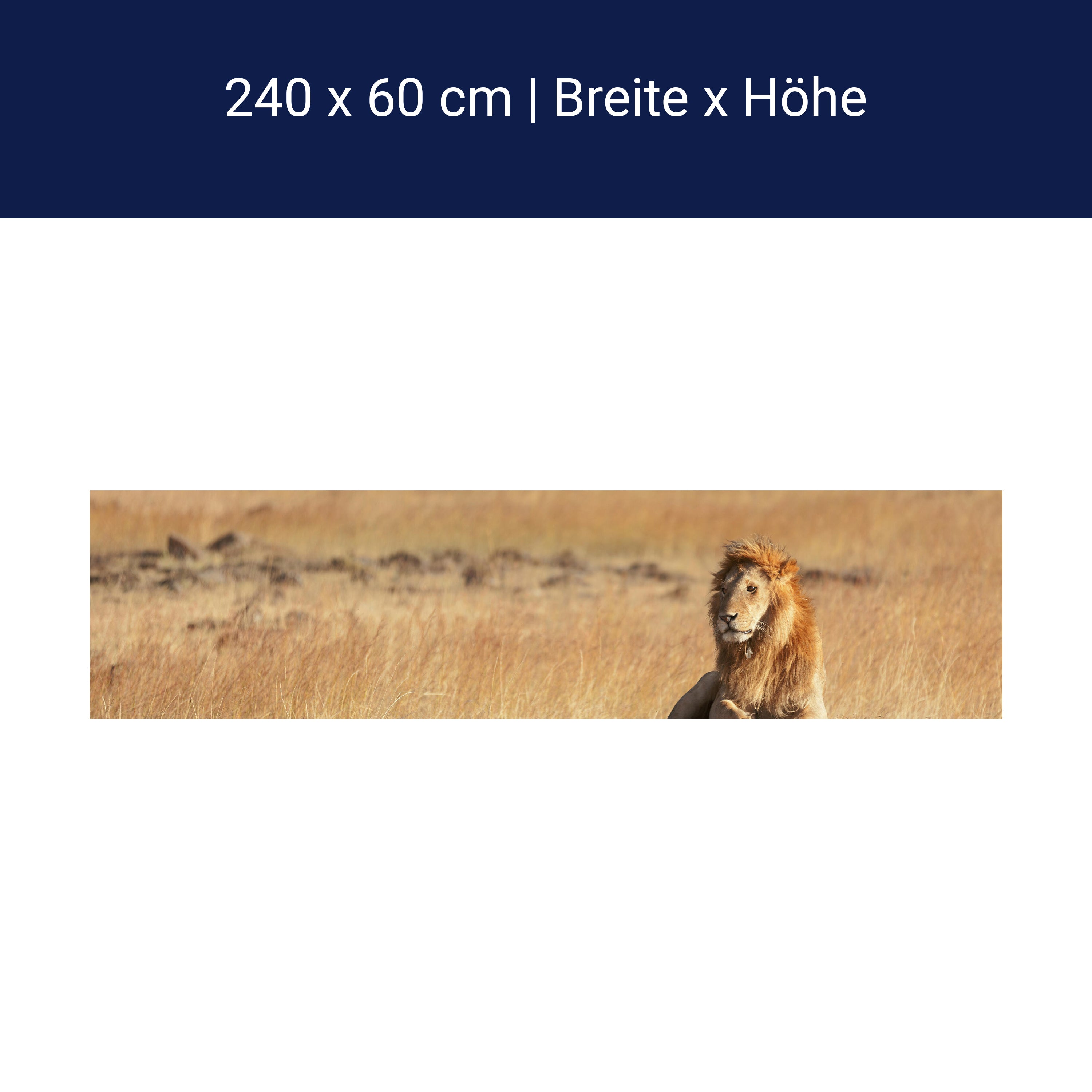 Küchenrückwand König der Savanne M0515 Küchenrückwand König der Savanne M0515