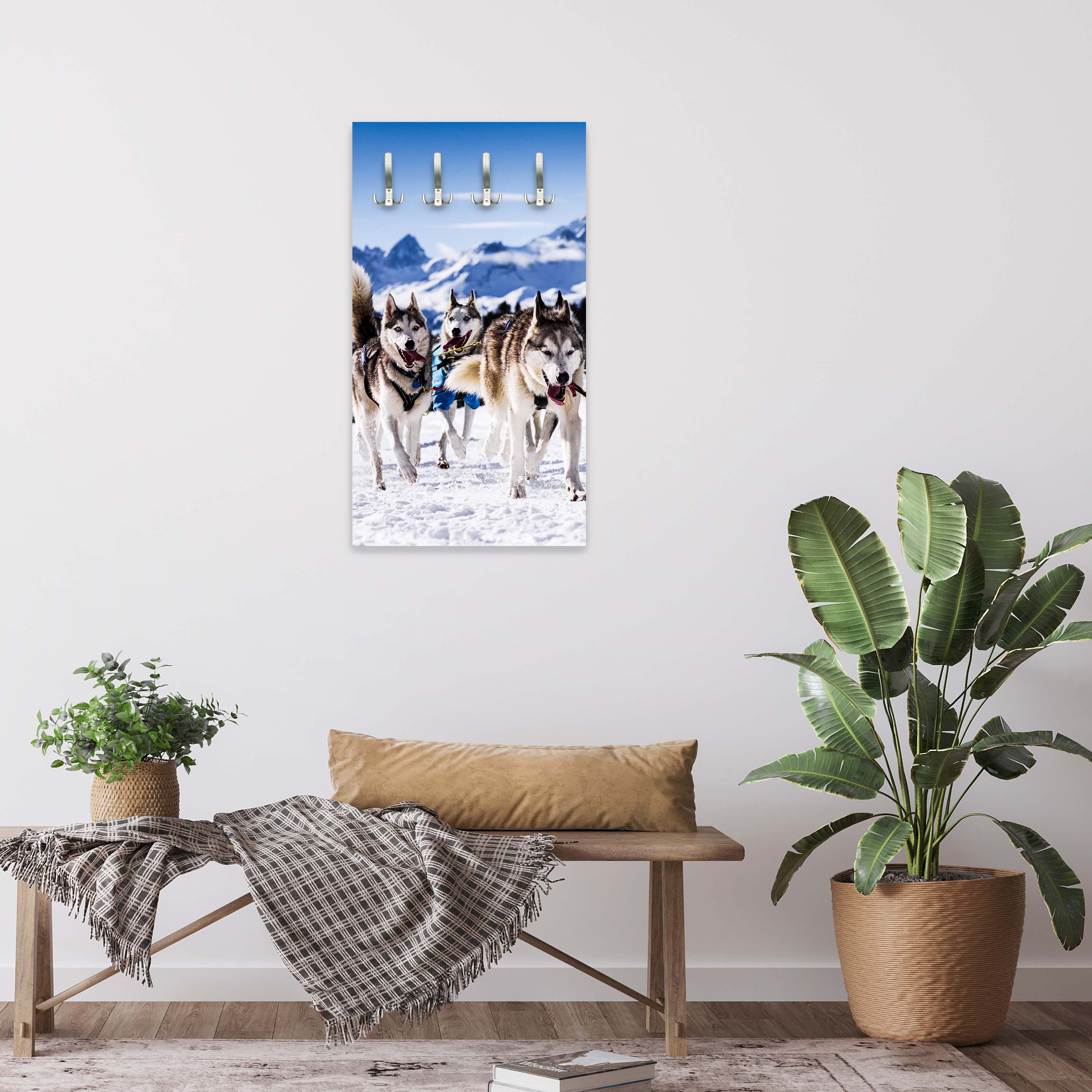 Garderobe Schlittenhunde in Speed Racing M0559 entdecken - Bild 3 Garderobe Schlittenhunde in Speed Racing M0559 entdecken - Bild 3