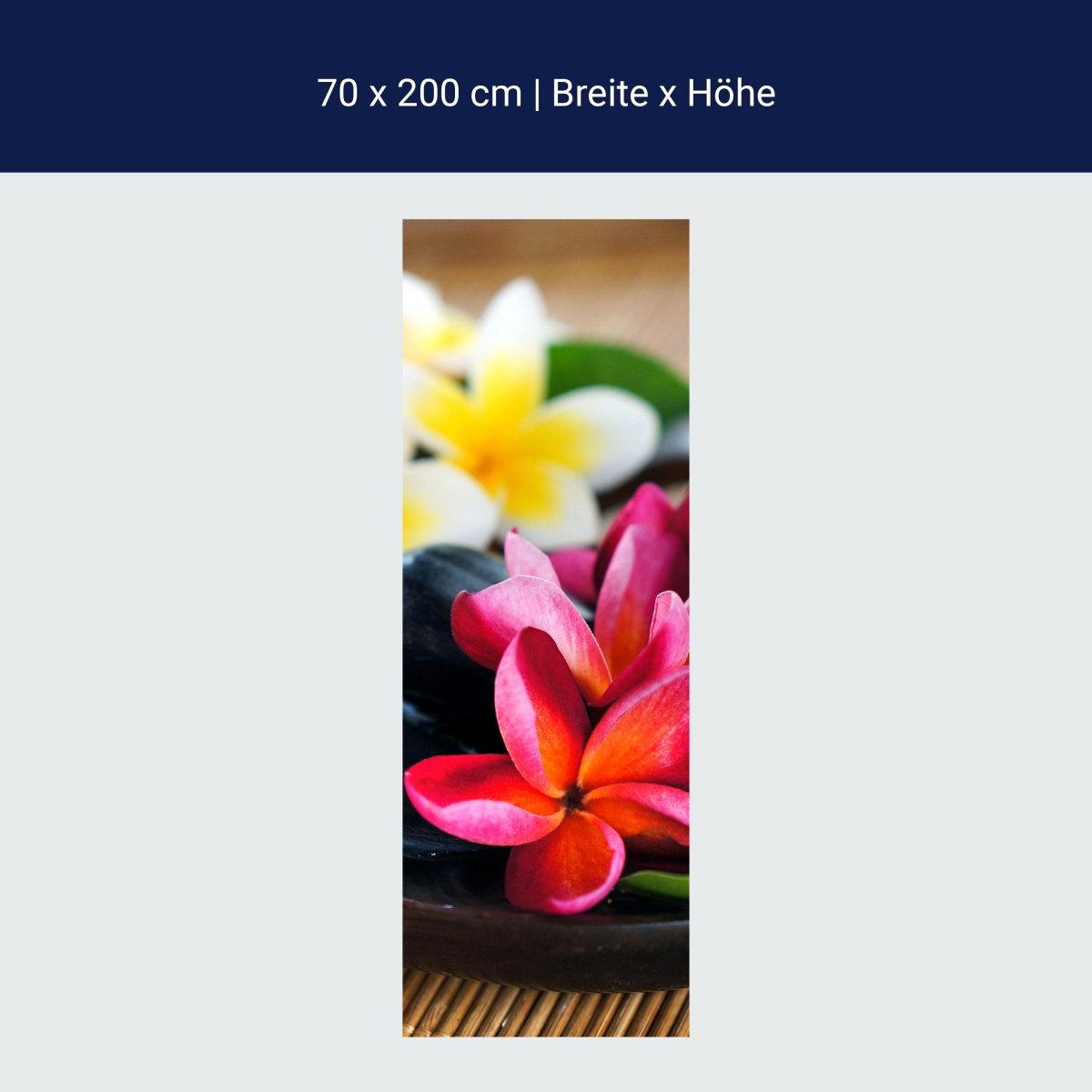 Duschwand Fangipani Blumen M0570 Duschwand Fangipani Blumen M0570