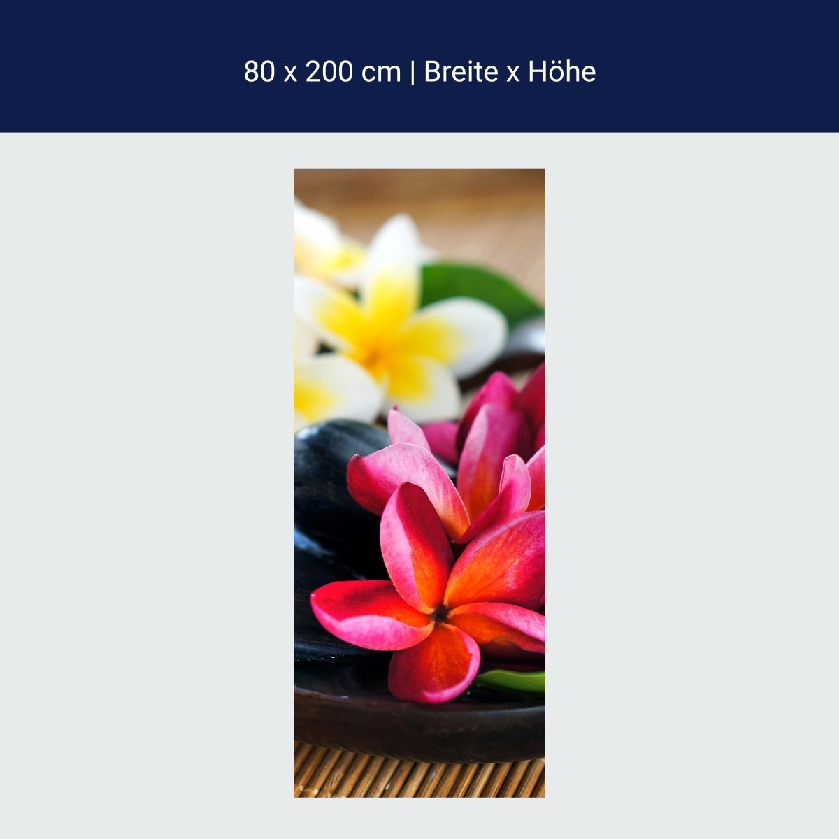Duschwand Fangipani Blumen M0570 Duschwand Fangipani Blumen M0570