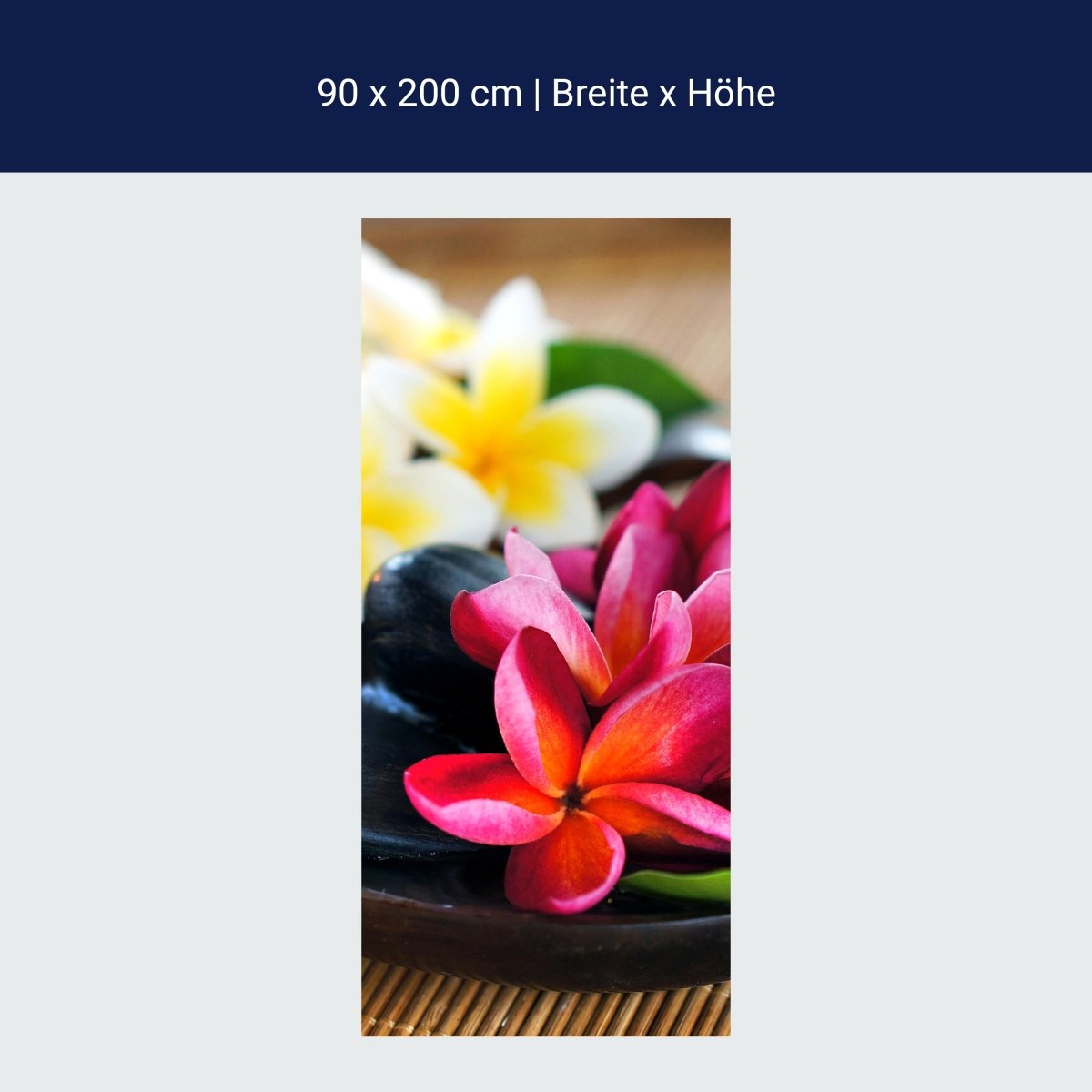 Duschwand Fangipani Blumen M0570 Duschwand Fangipani Blumen M0570