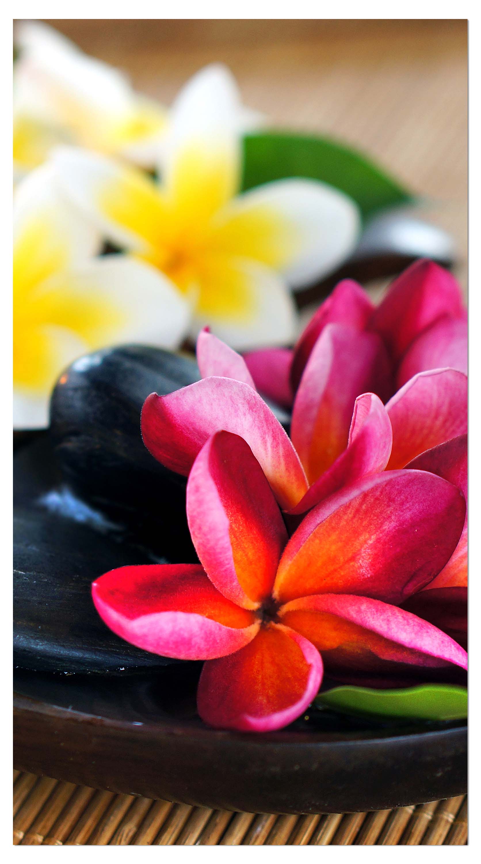 Garderobe Fangipani Blumen M0570 entdecken - Bild 4 Garderobe Fangipani Blumen M0570 entdecken - Bild 4